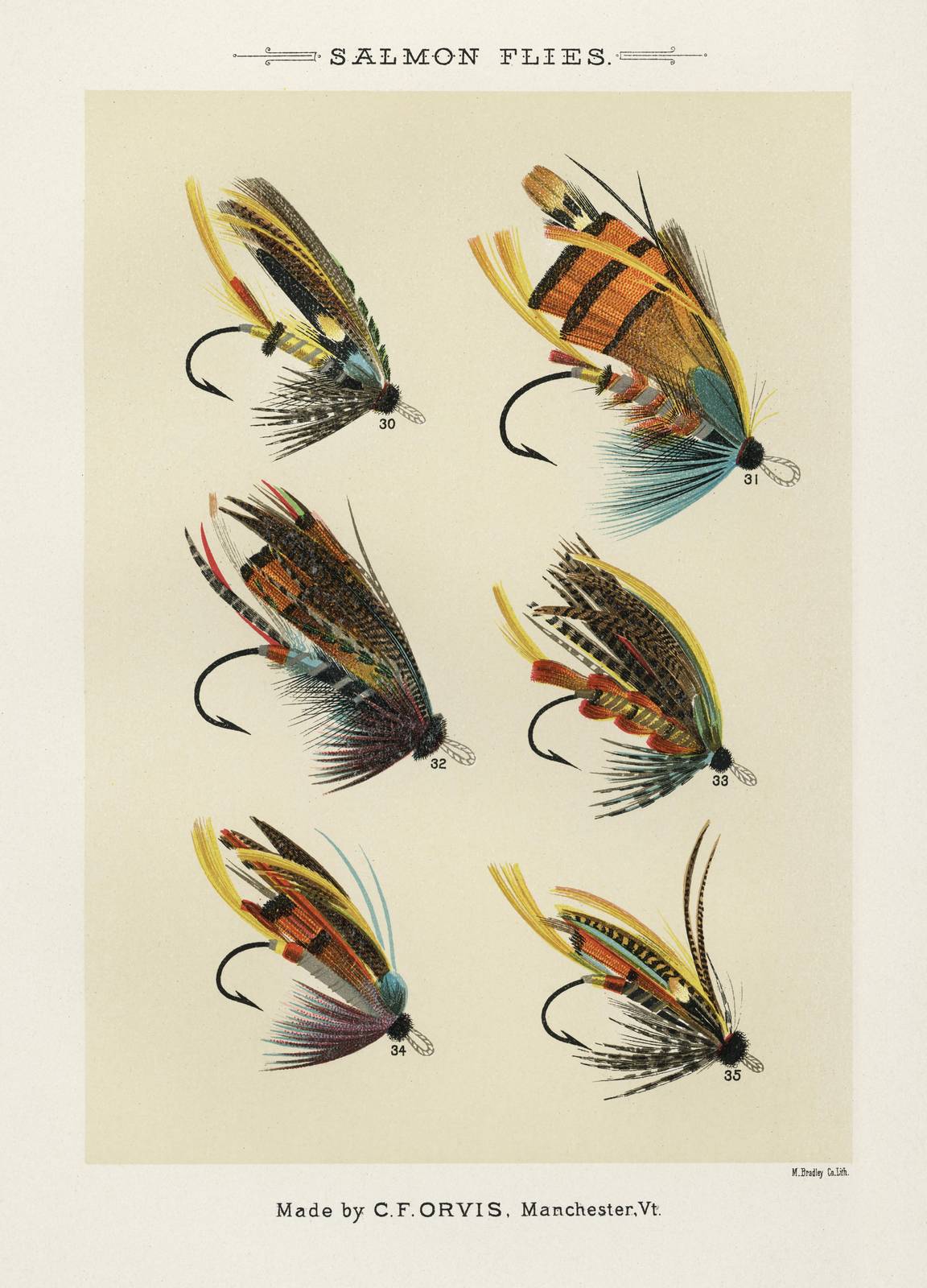 Vintage Salmon Flies Art | Fly Fishing Wall Art
