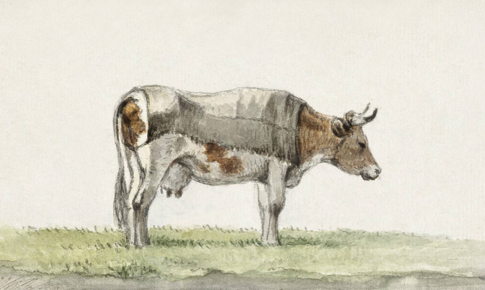 Vintage Farm Cow Botanical Sketch Wall Art