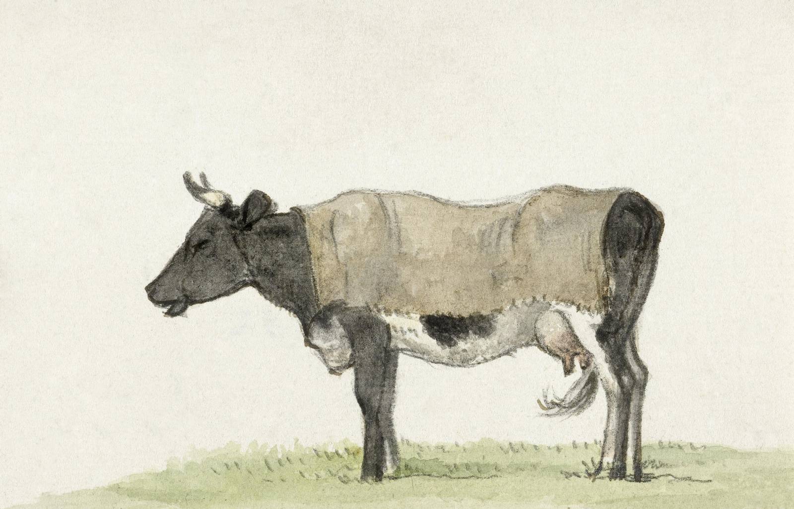Vintage Cow Portrait Wall Art