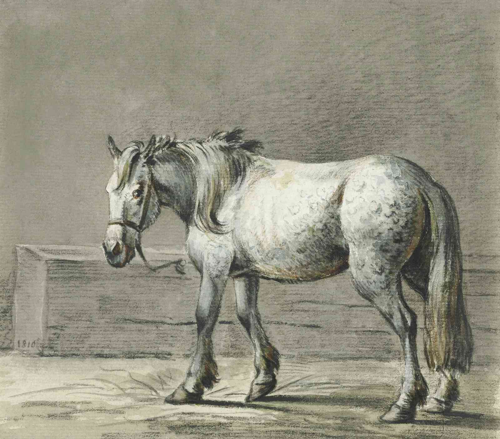 Elegant Horse Portrait in Charcoal Wall Art