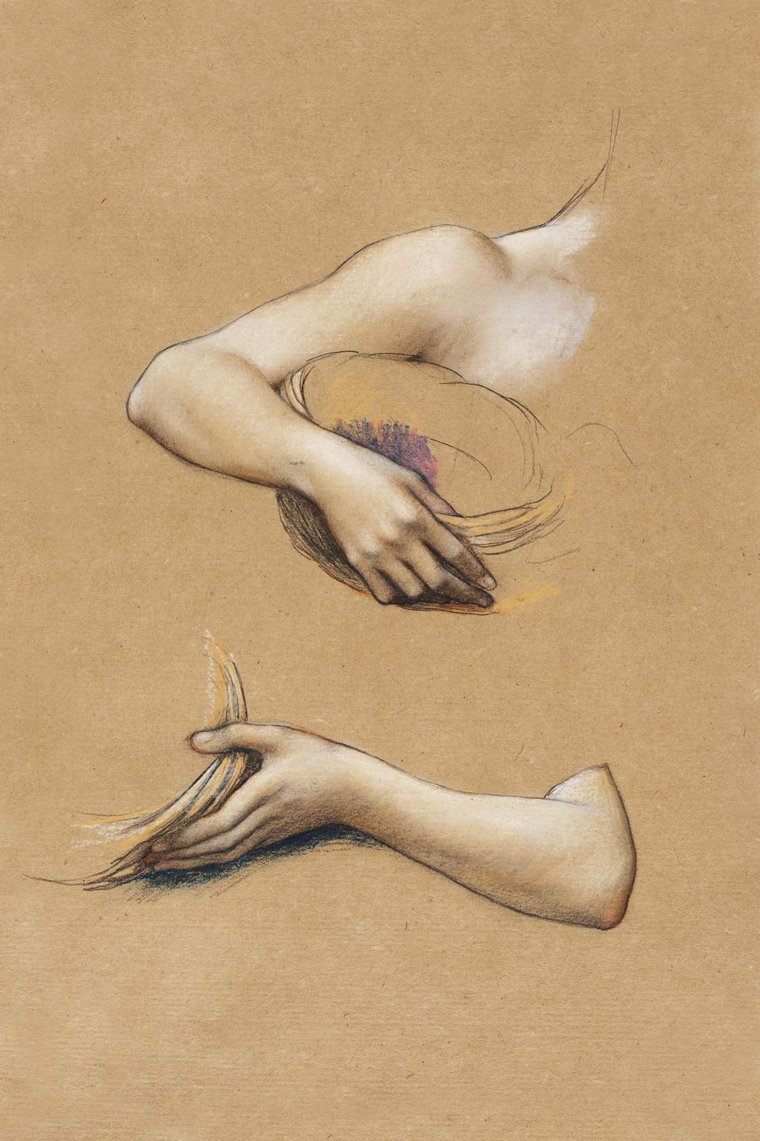 Elegant Hands Figure Study Wall Art