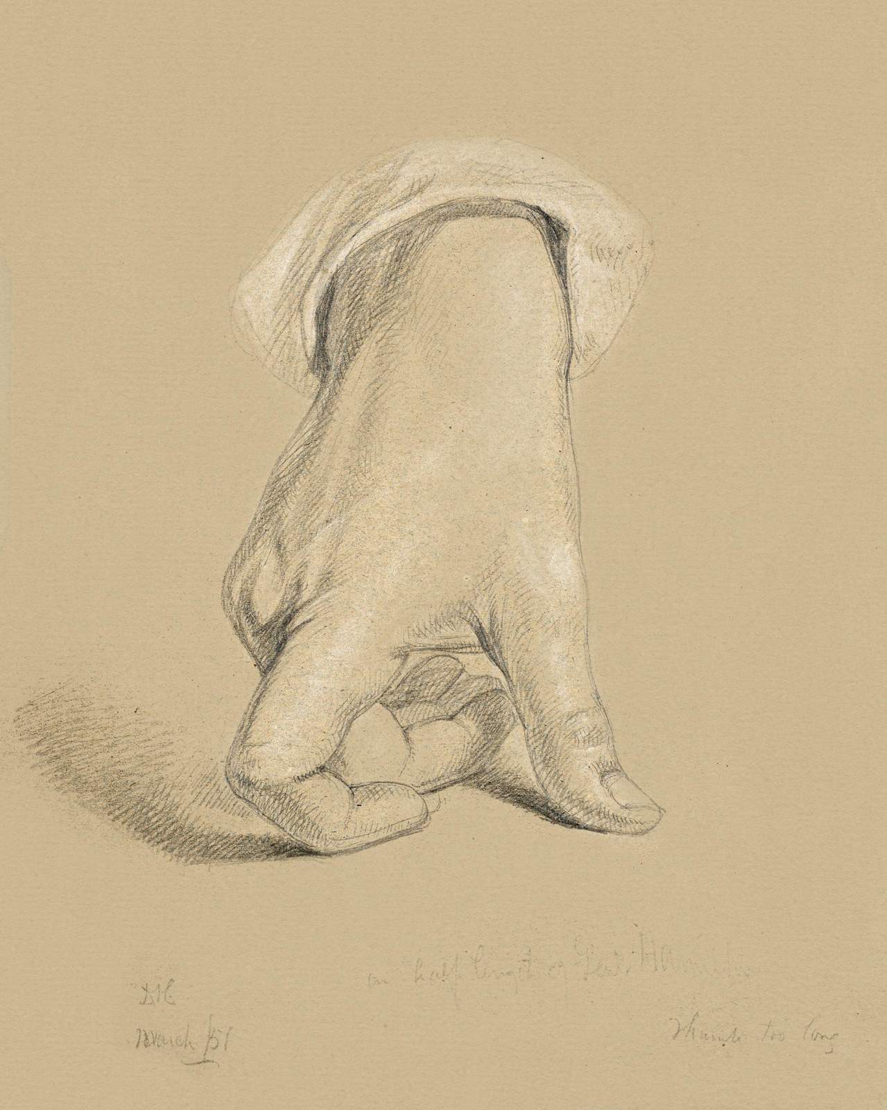 Pencil Sketch Hand "Long Thumbs" Wall Art