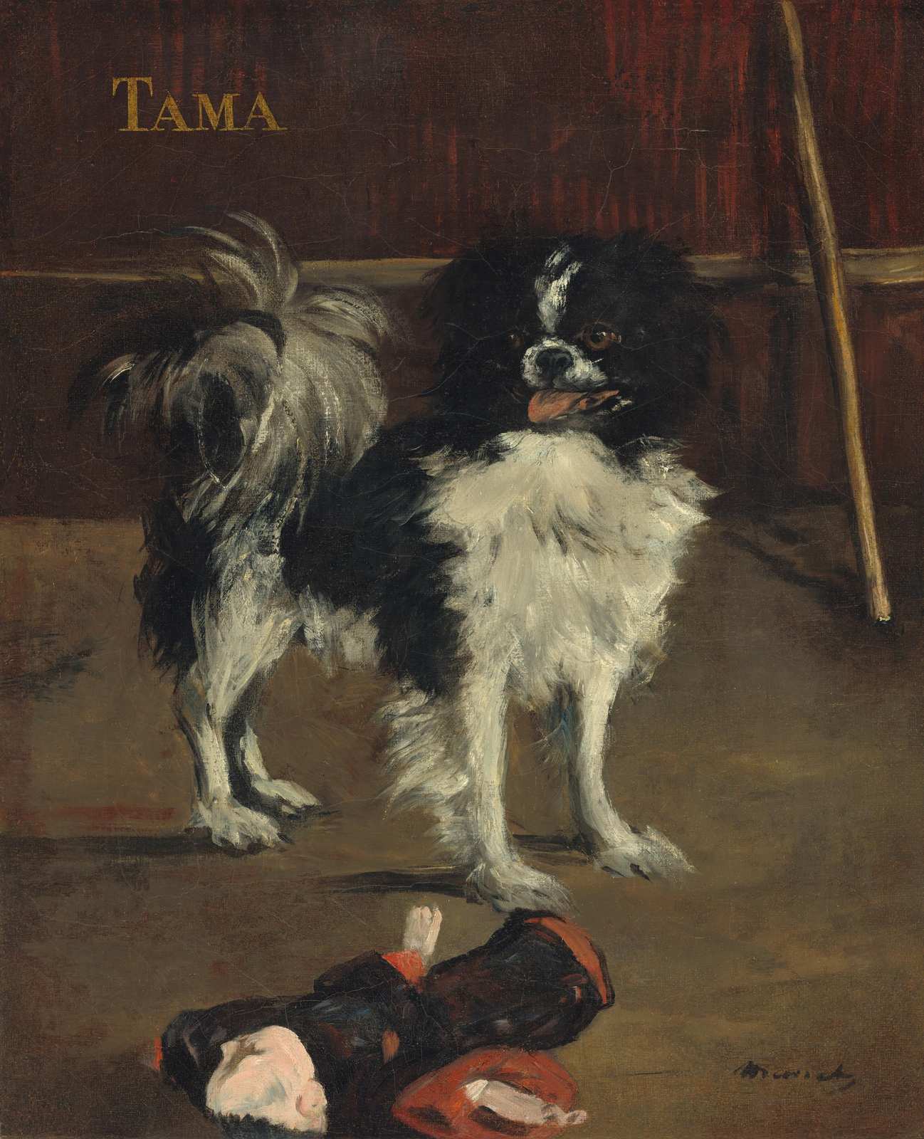 Charming Tama Dog Portrait Wall Art