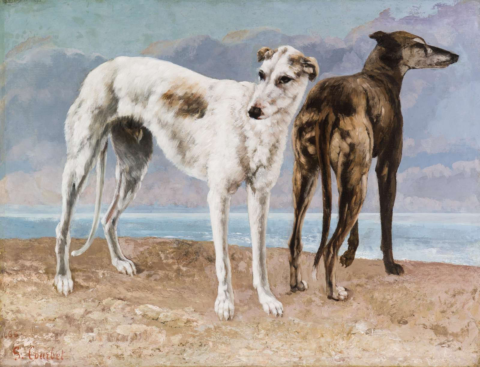 Elegant Greyhounds at the Beach Wall Art