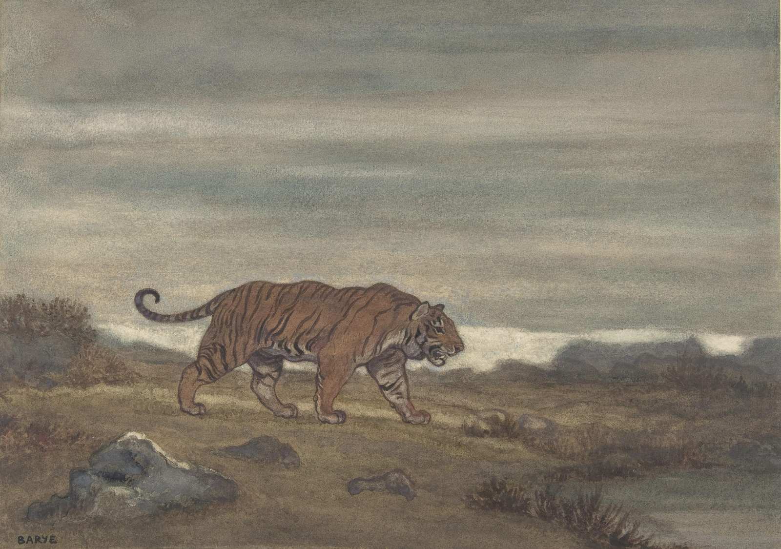 Majestic Tiger Prowling Wall Art