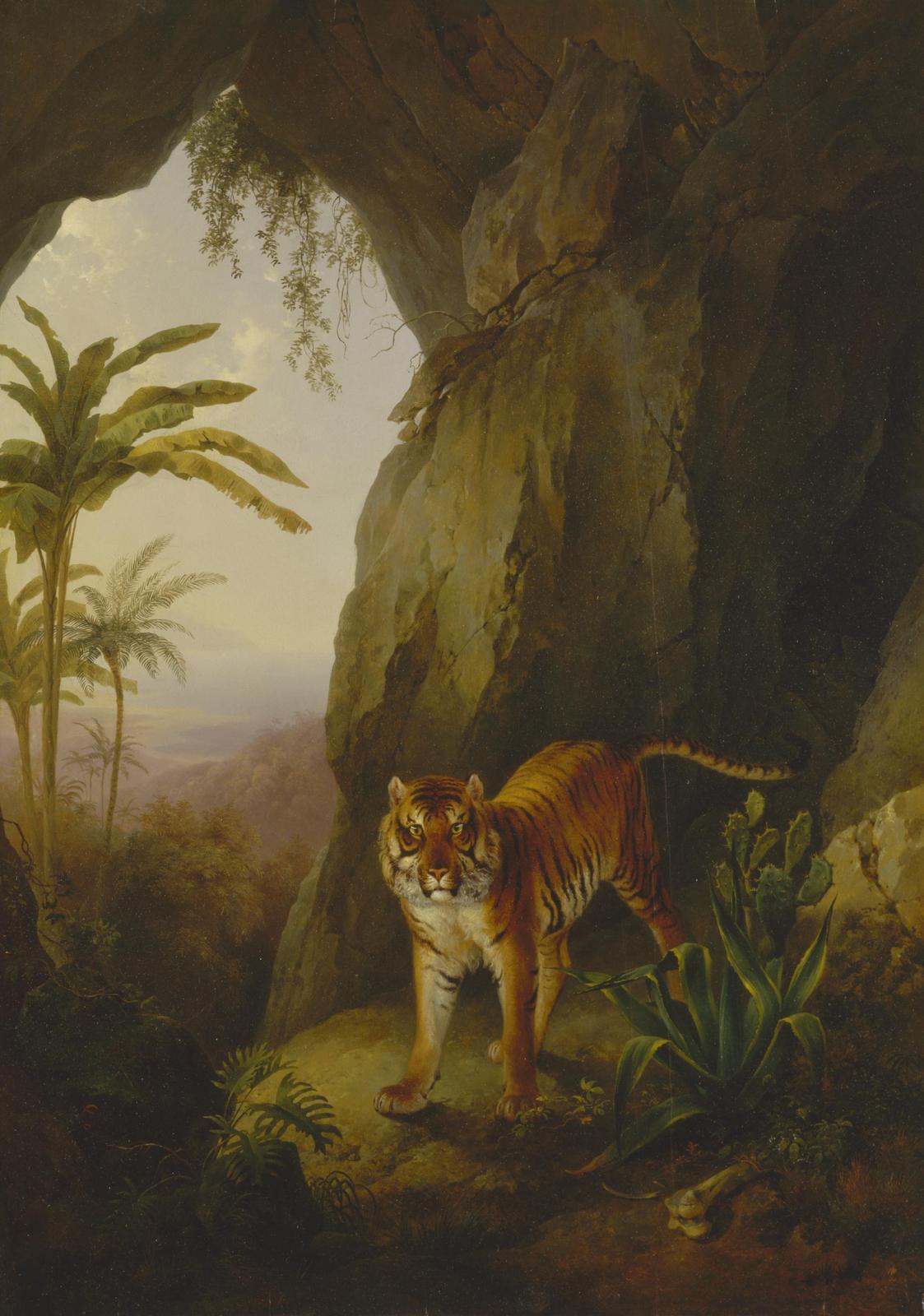 Majestic Tiger in Jungle Cave Wall Art