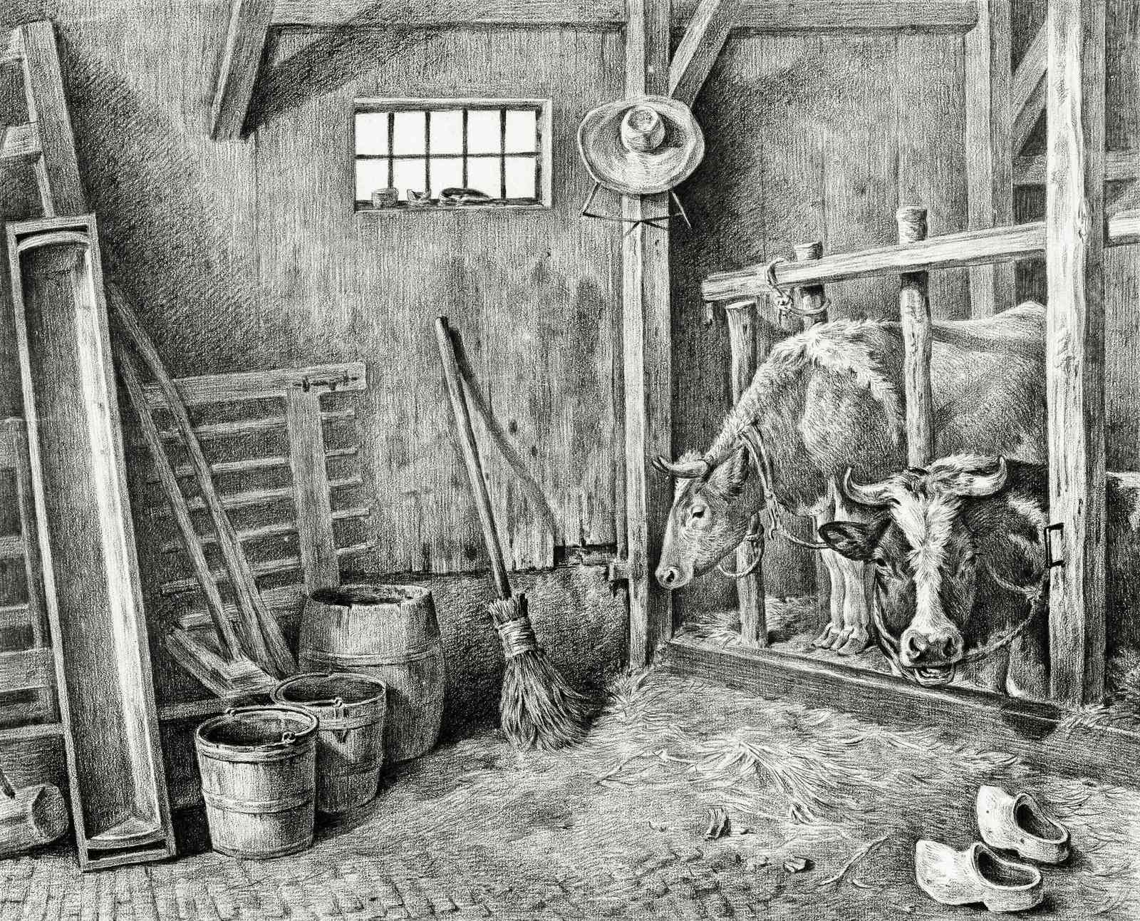 Rustic Barn Cows Black & White Wall Art