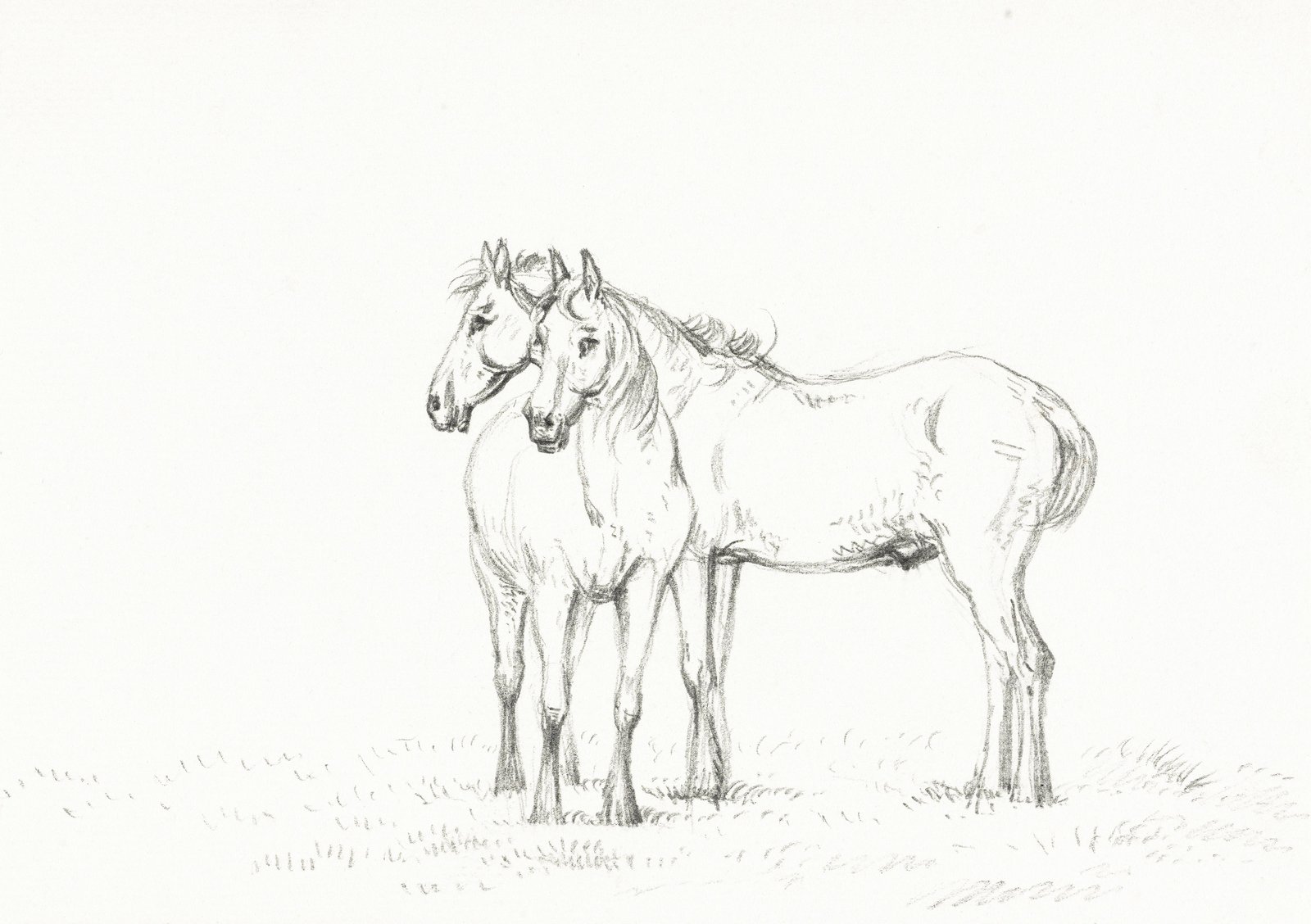 Elegant Equine Duo Charcoal Sketch Wall Art