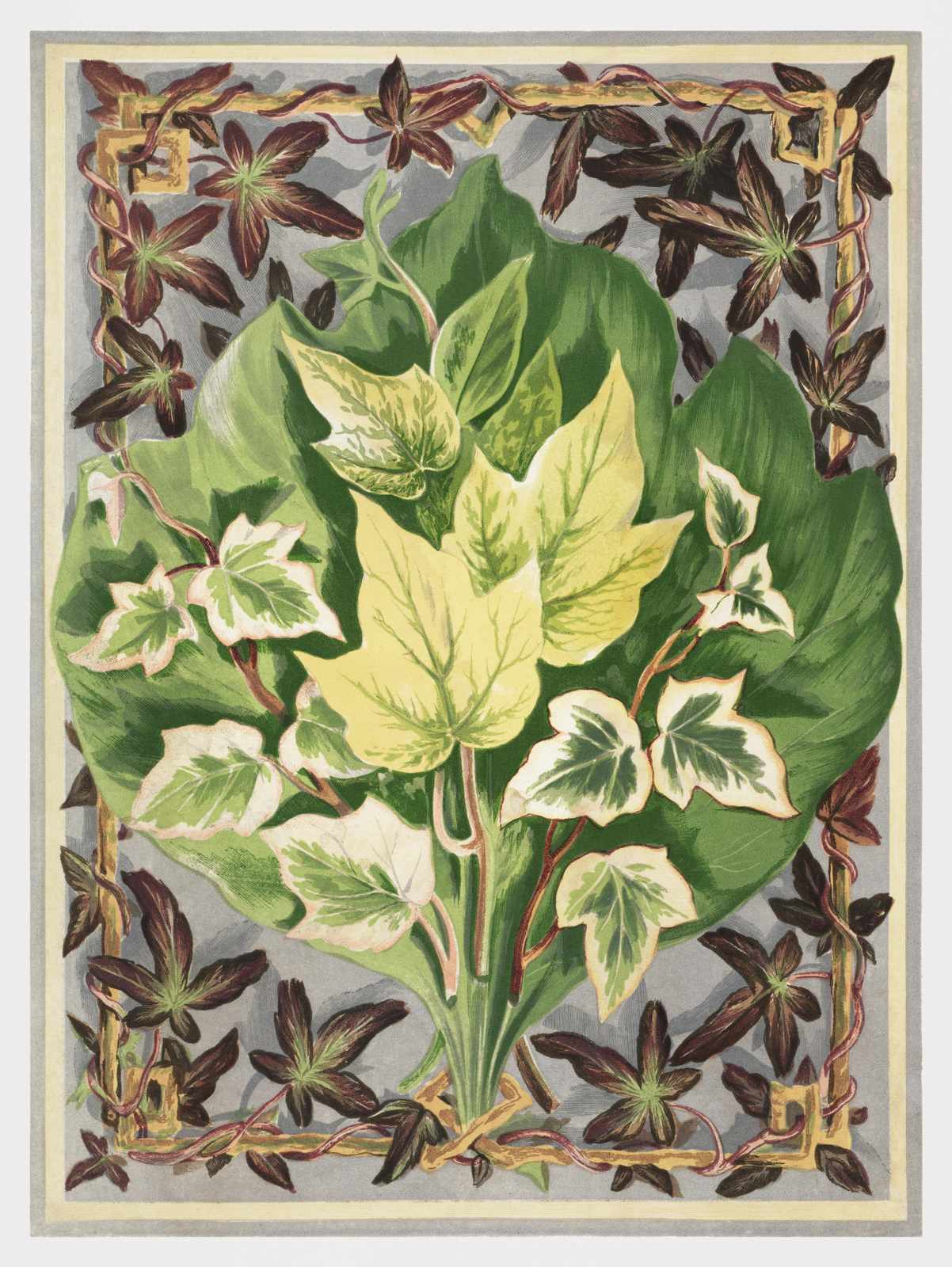Botanical Ivy Arrangement Wall Art