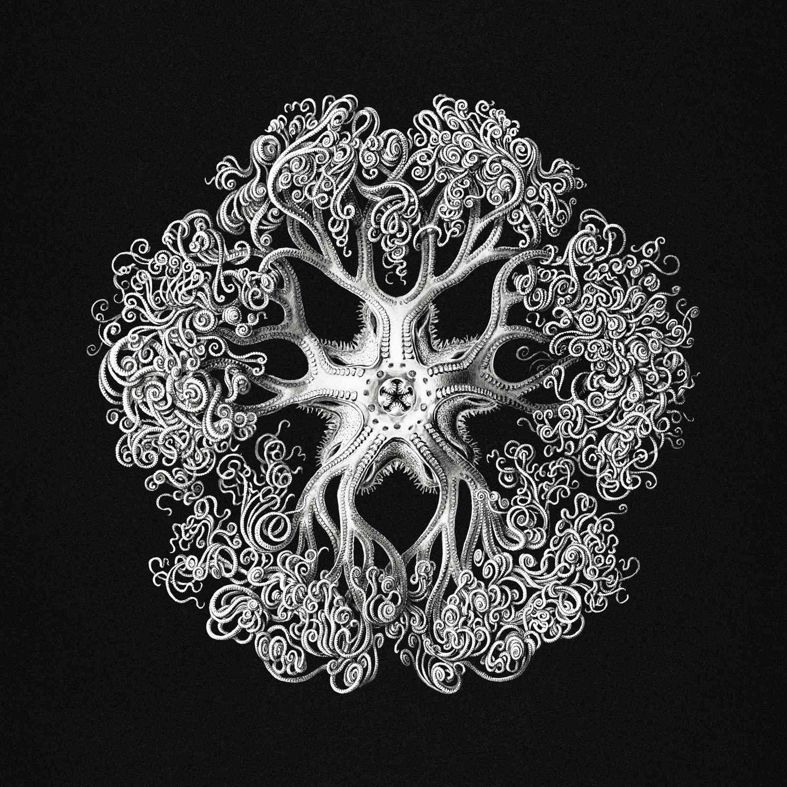 Intricate Octopus Tentacle Mandala Wall Art
