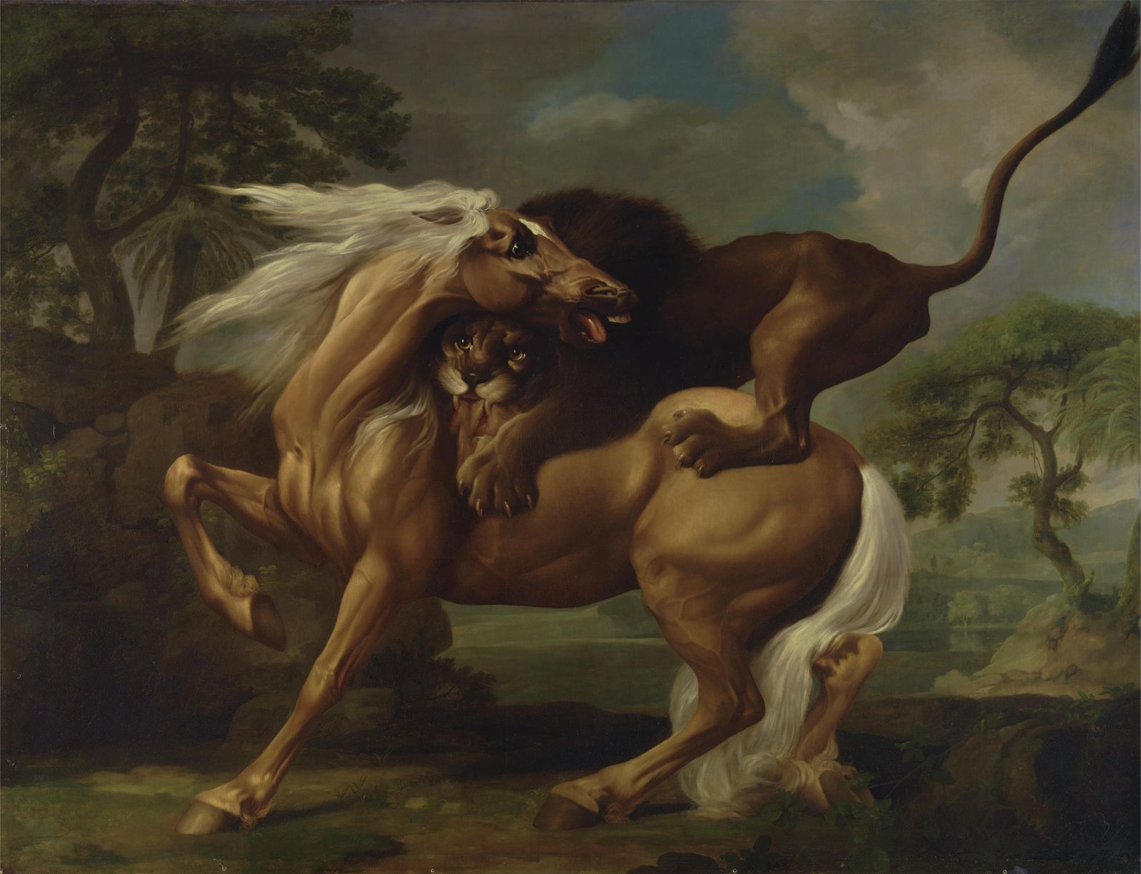 Lion Attacking Horse Majestic Wildlife Wall Art