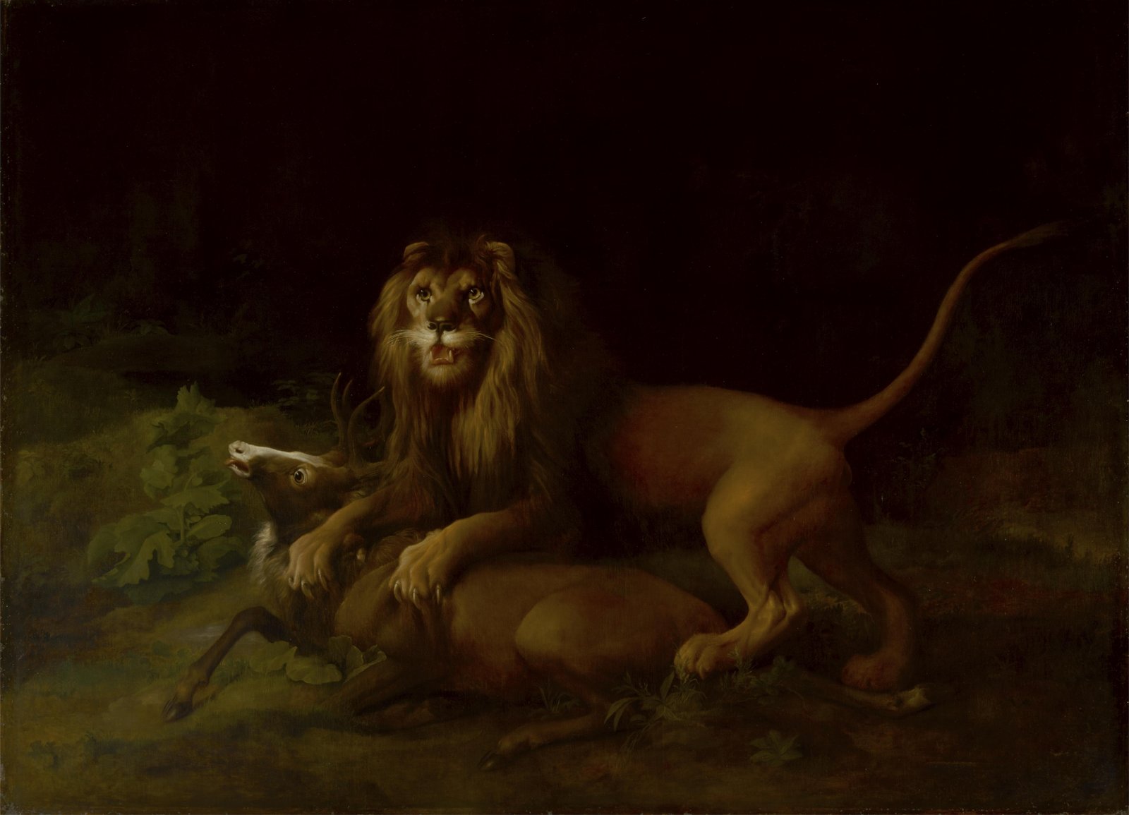 Majestic Lion Hunt Wall Art Wall Art