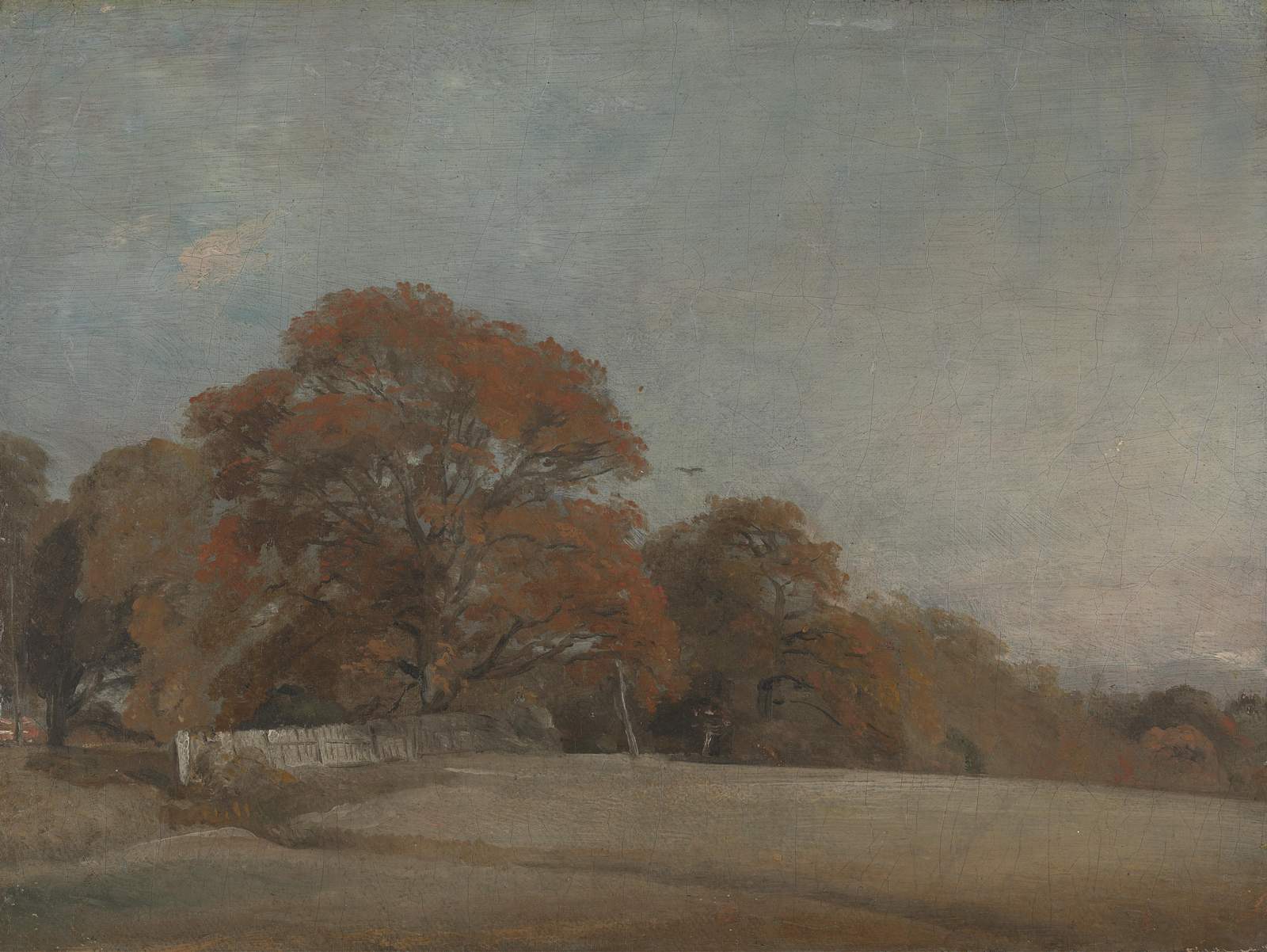 Autumn Landscape with Trees Wall Art