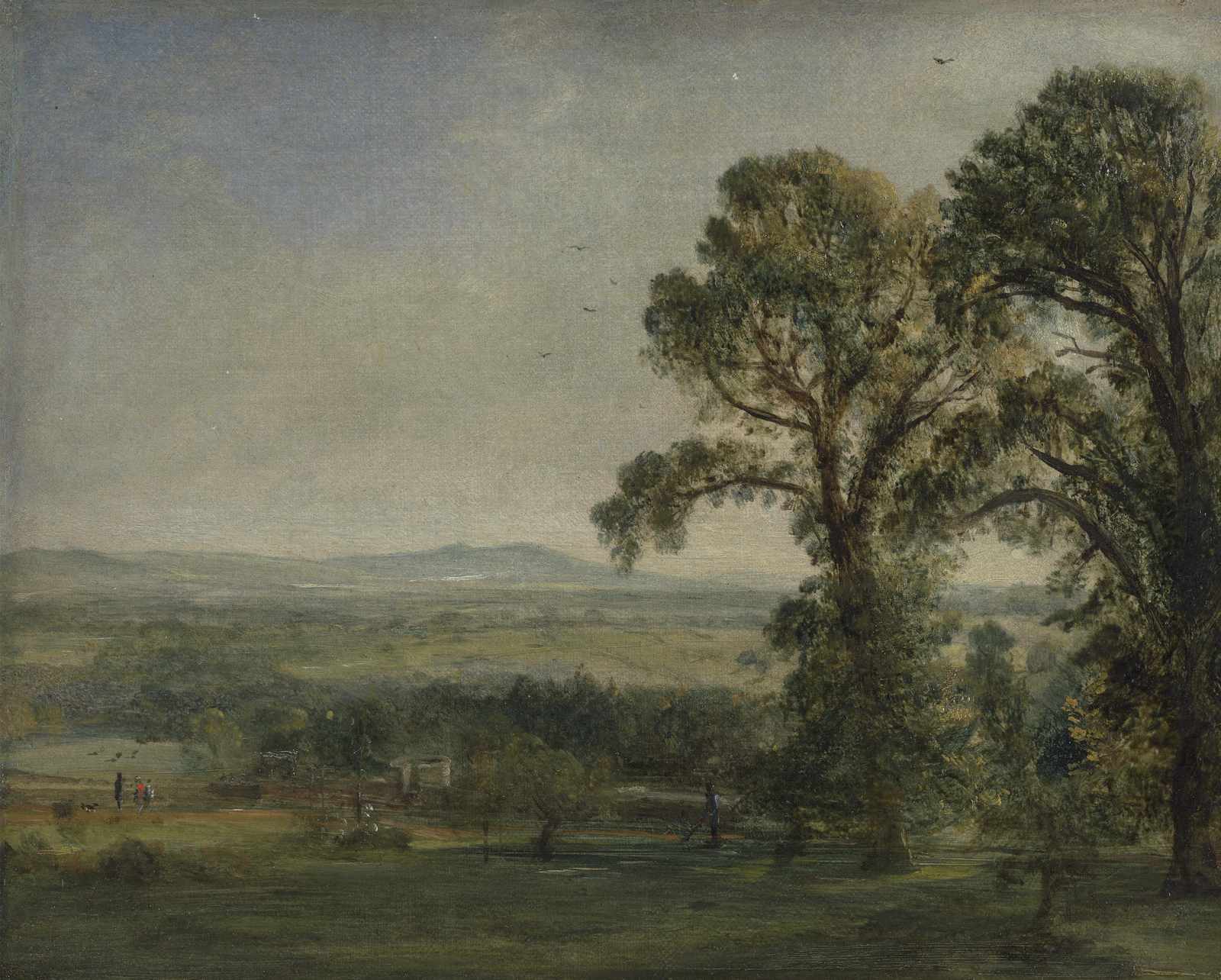 Serene Landscape Trees & Rolling Hills Wall Art