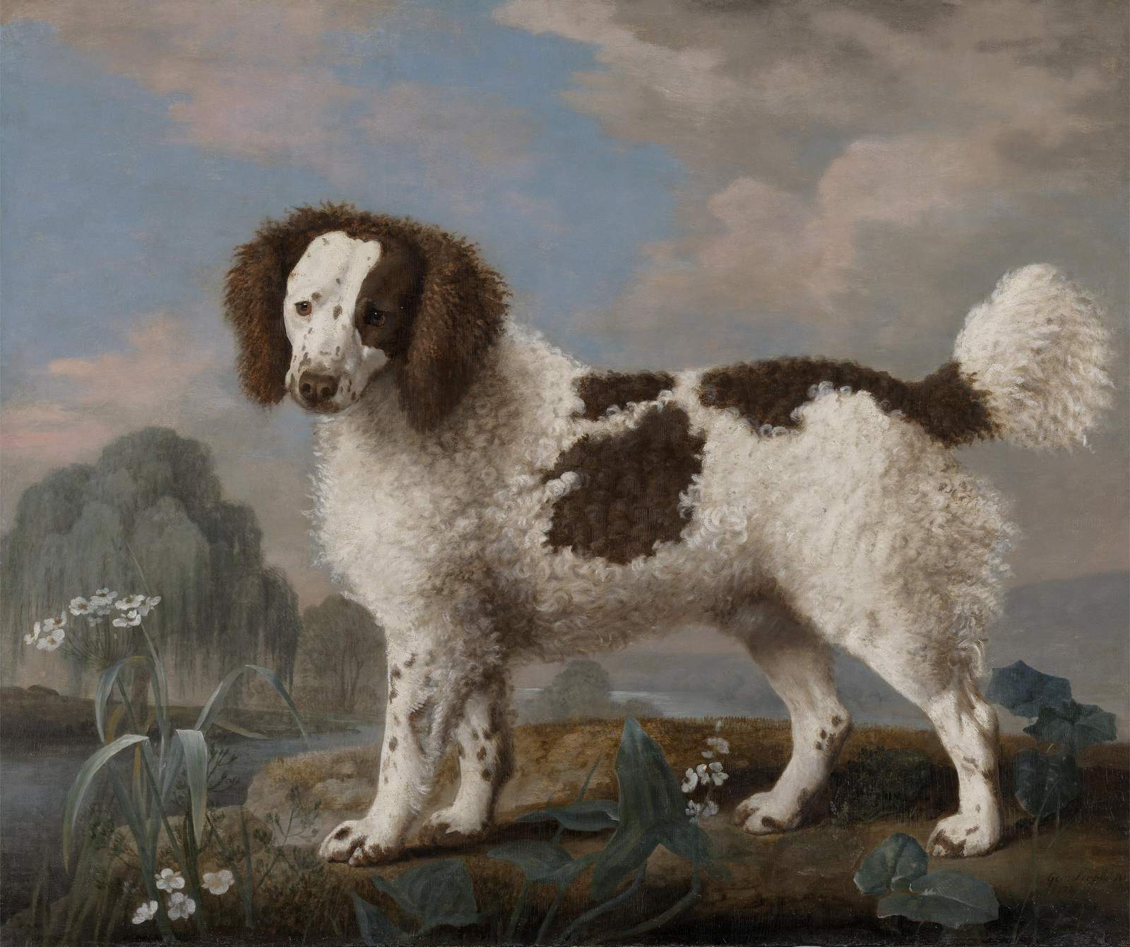 Elegant Poodle Portrait Landscape Wall Art