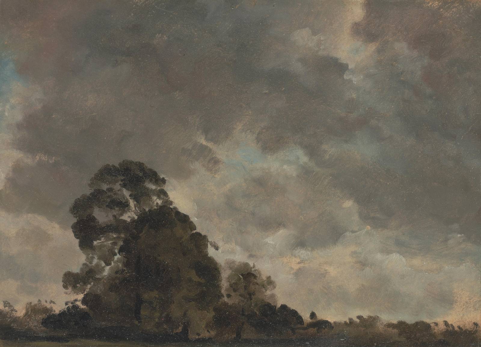 Dramatic Skies & Trees Wall Art
