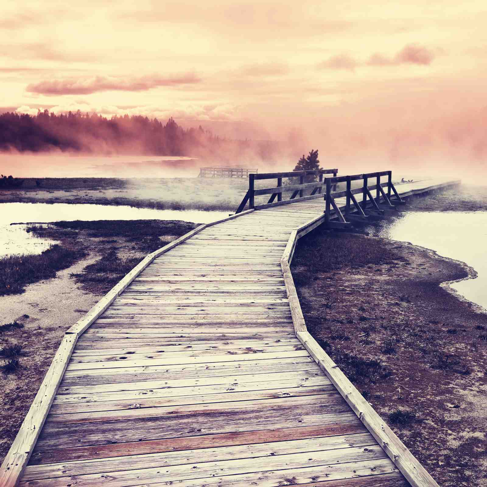 Misty Boardwalk Serenity Landscape Wall Art