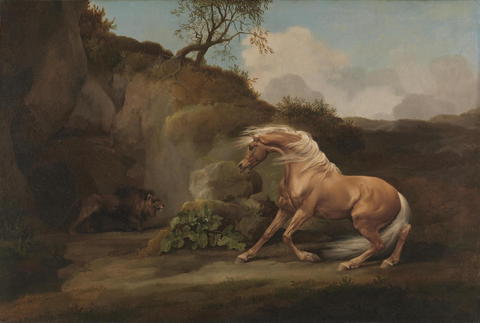 Majestic Horse vs Lion Confrontation Wall Art
