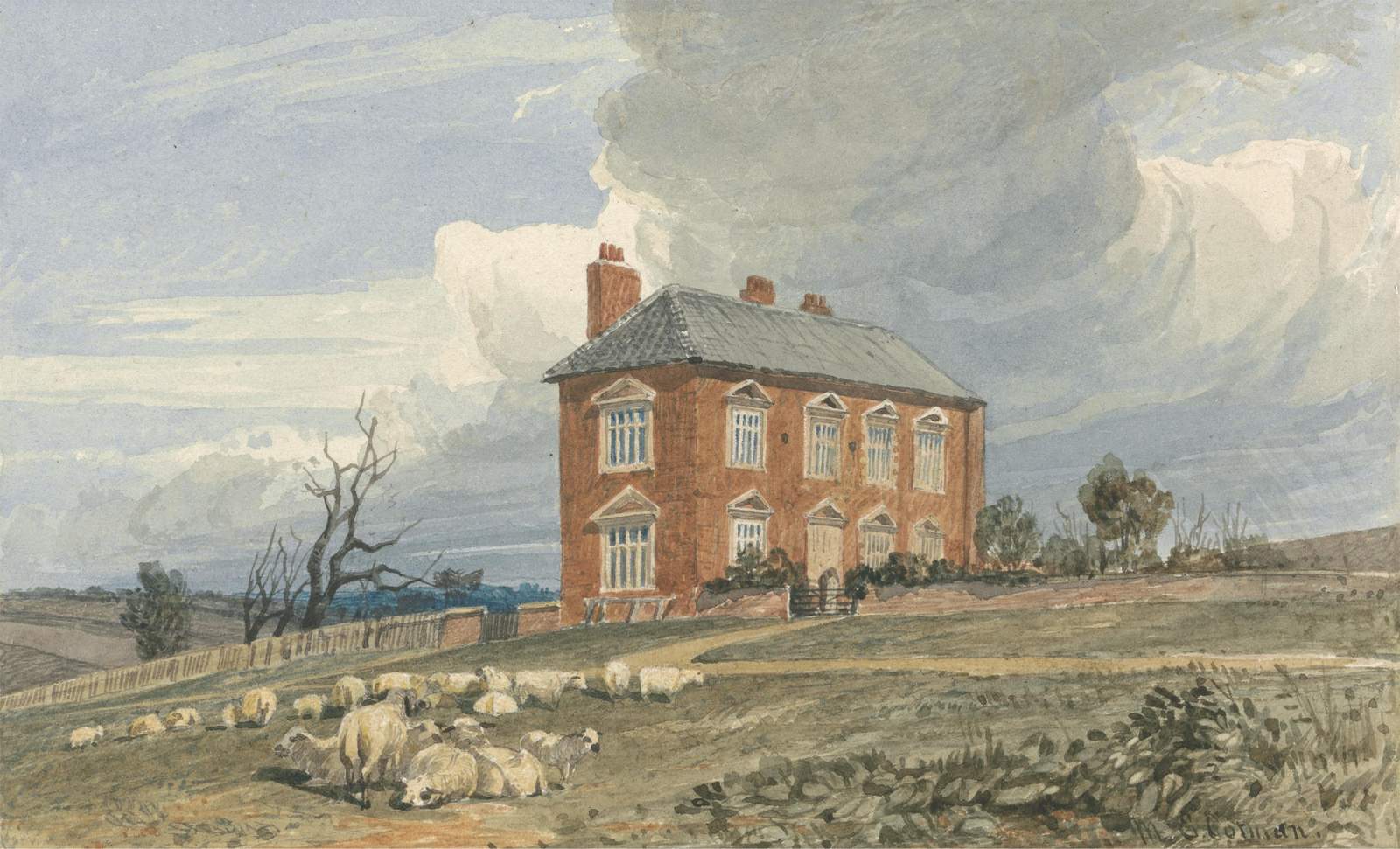 Serene Countryside Sheep & House Wall Art