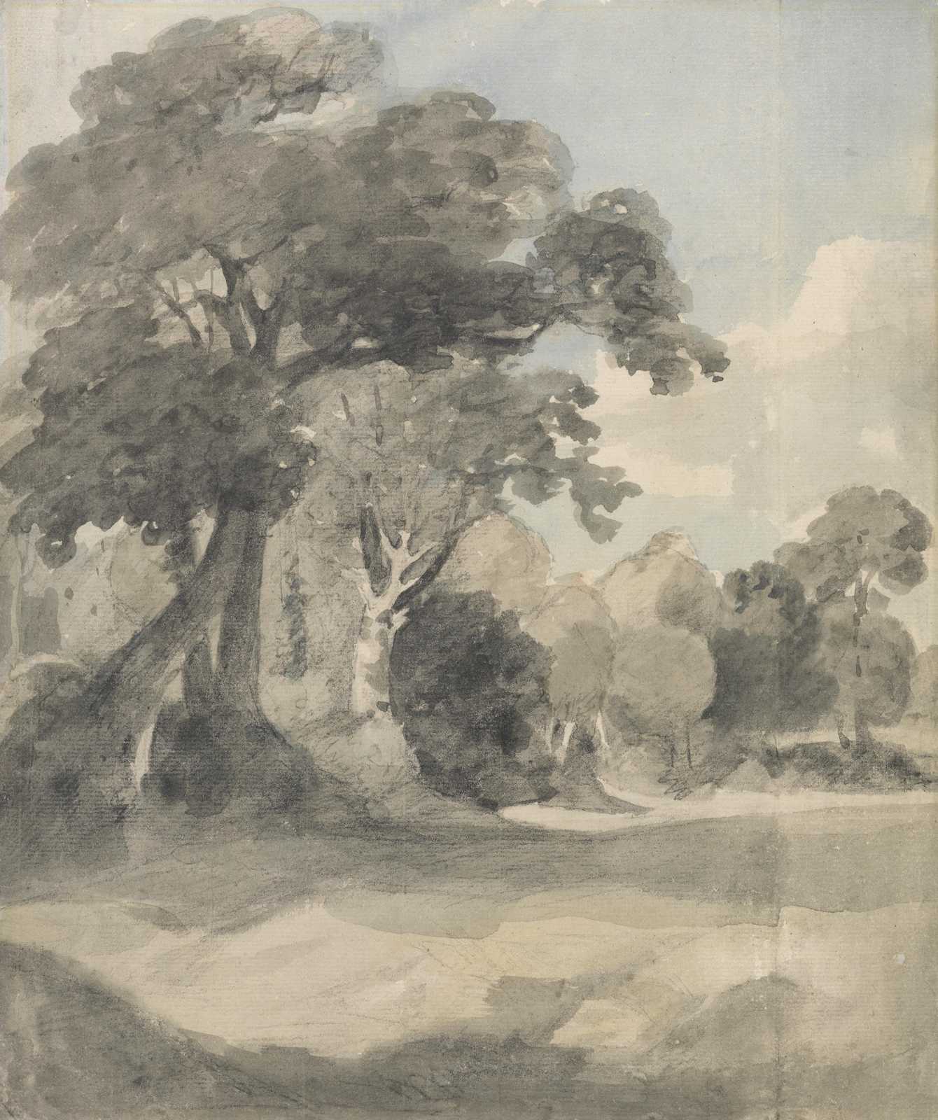 Serene Woodland Landscape Sketch Wall Art