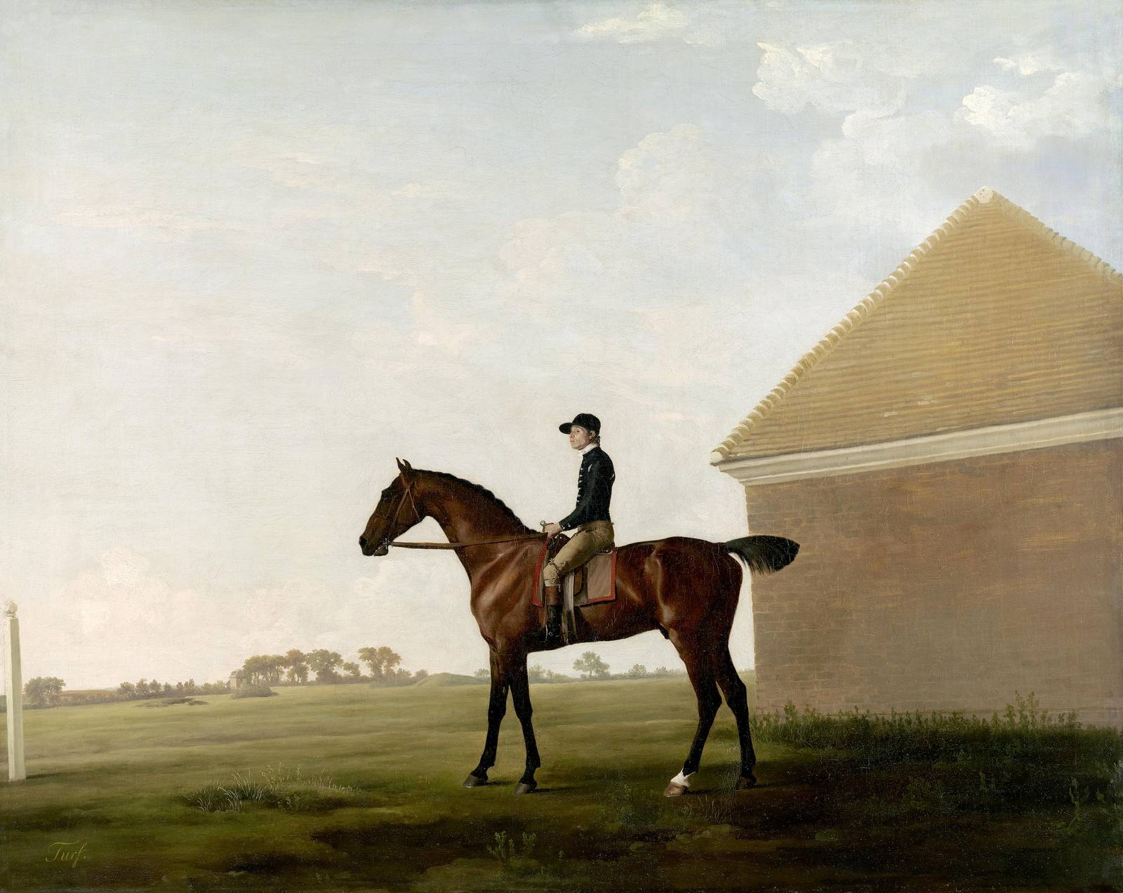 Jockey & Horse Equestrian Art Wall Art