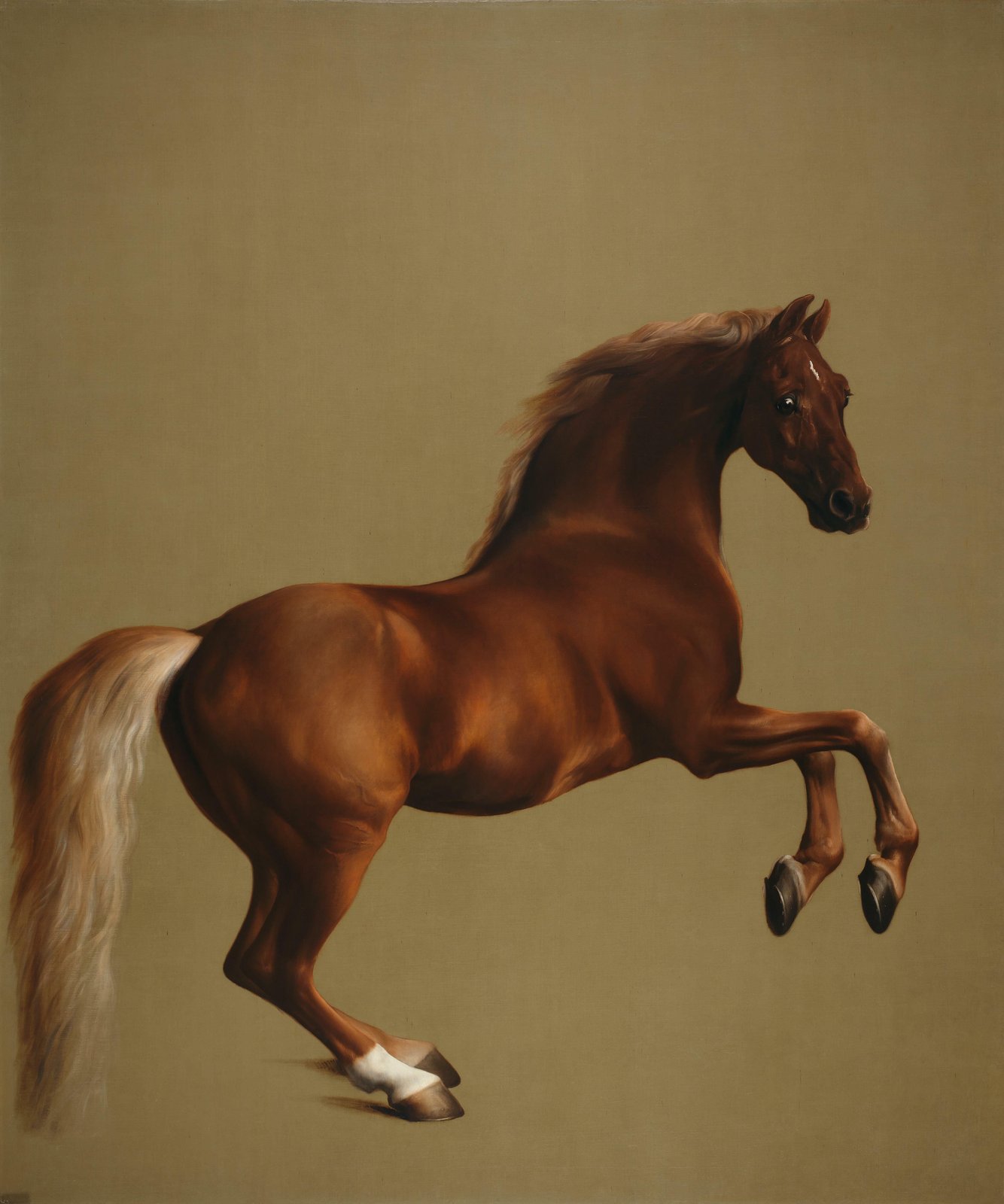 Majestic Chestnut Horse Rearing Wall Art