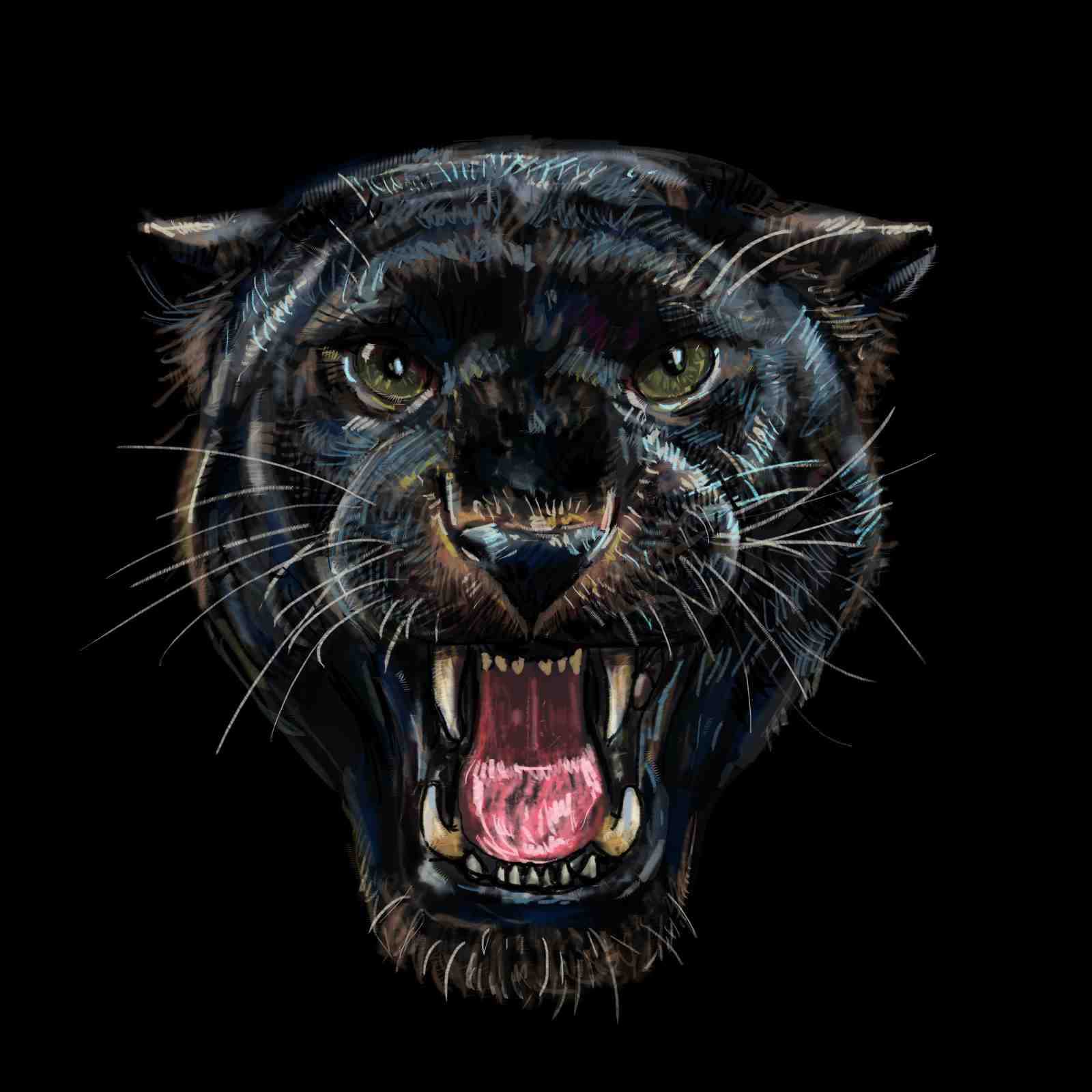 Roaring Black Panther Fierce Animal Wall Art