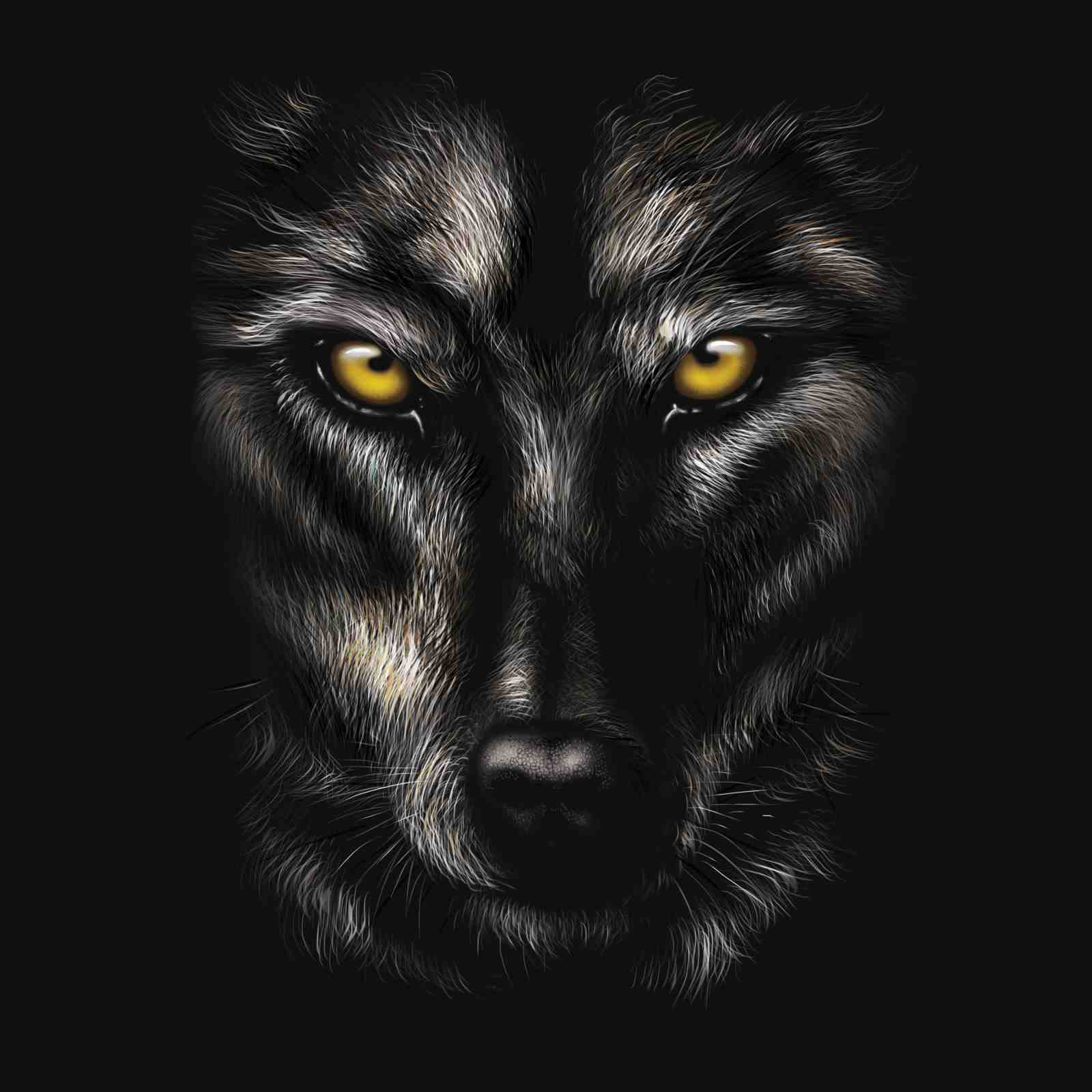 Majestic Wolf Eyes Realistic Black Wall Art