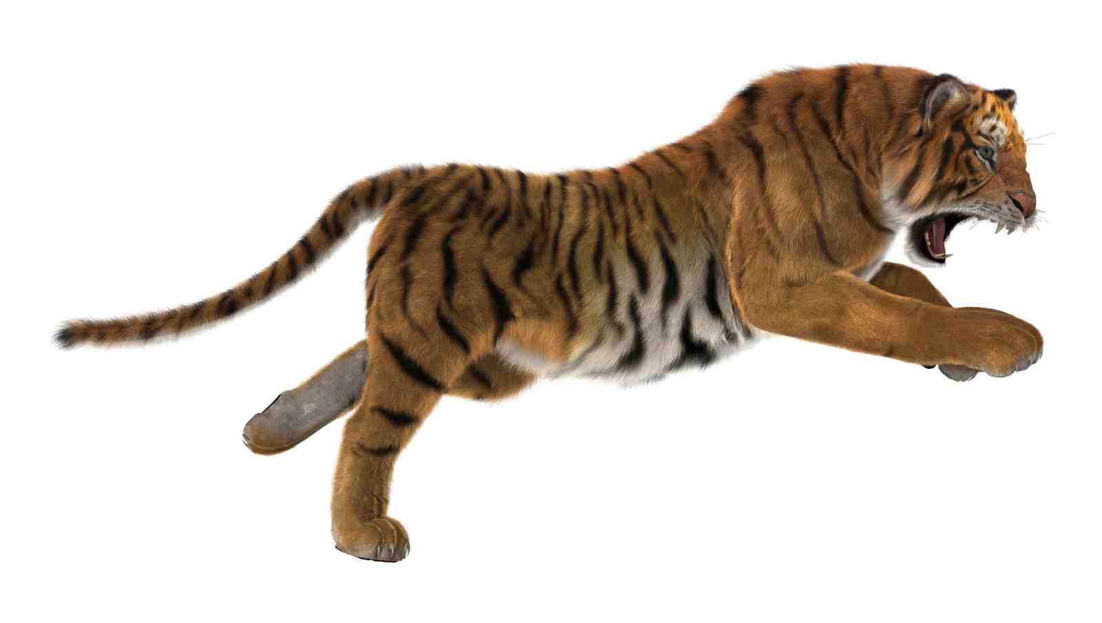 Majestic Tiger Roar Wall Art