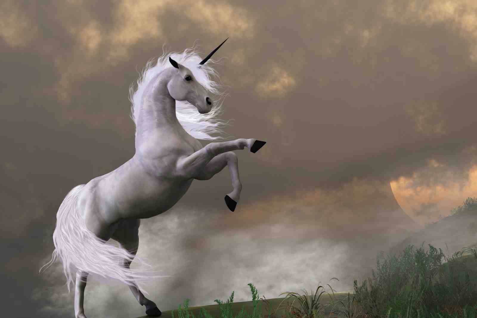 Majestic Unicorn Rearing Horse Wall Art