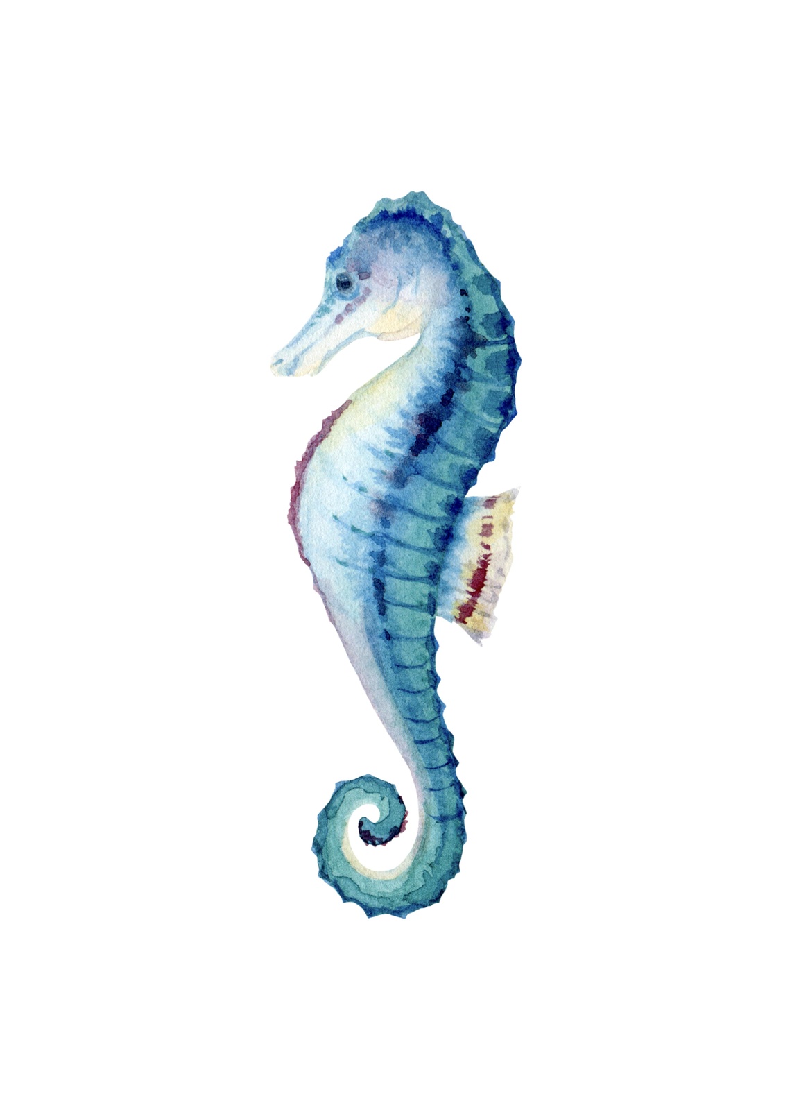 Blue Seahorse Watercolor Art Wall Art
