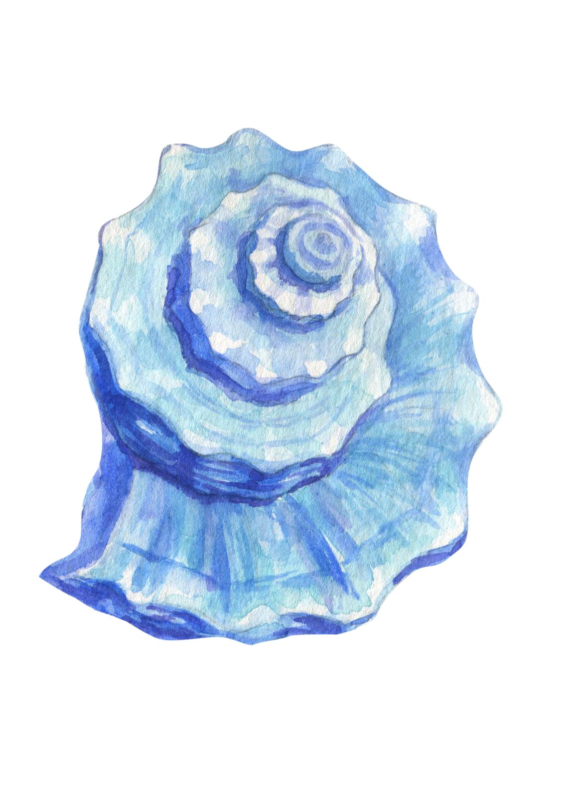 Serene Blue Seashell Watercolor Wall Art
