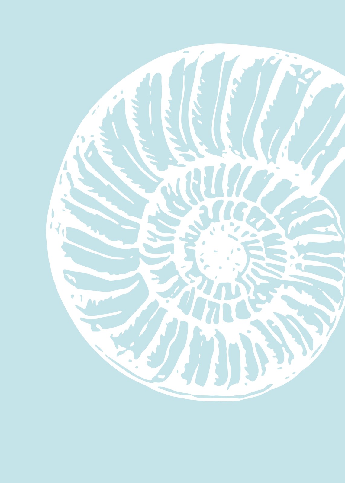 Serene Nautilus Shell Coastal Wall Art