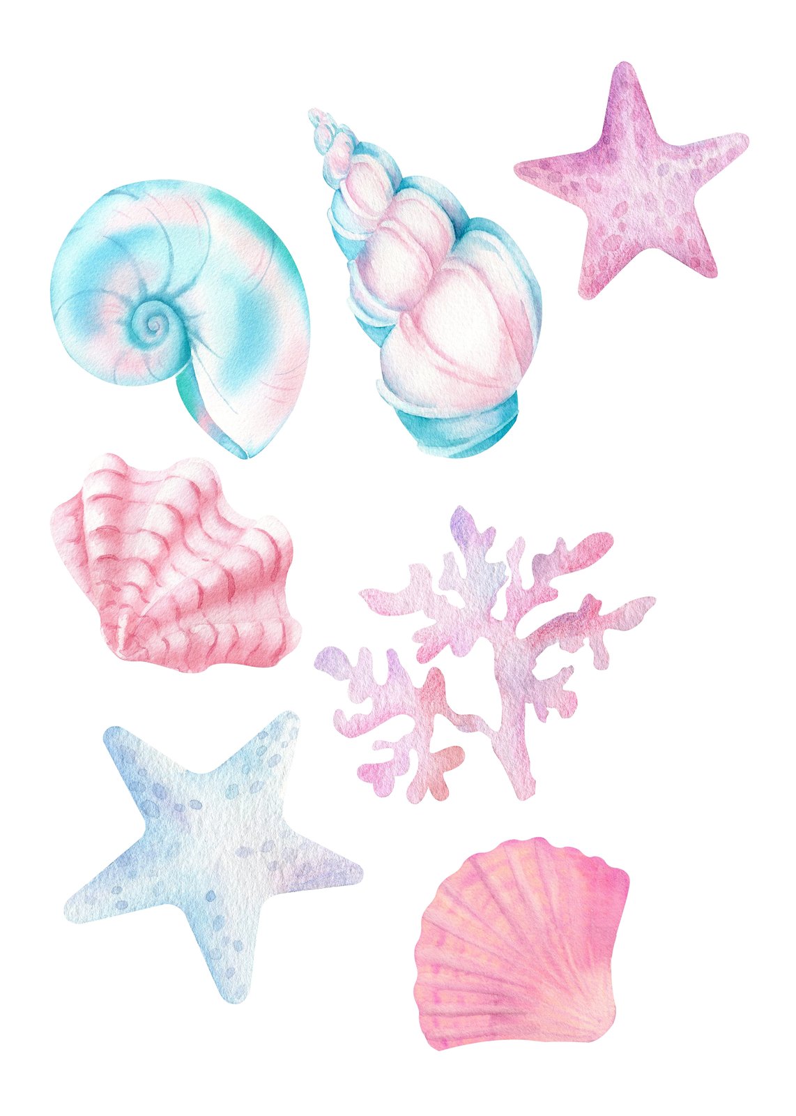 Pastel Seashell & Starfish Wall Art Wall Art