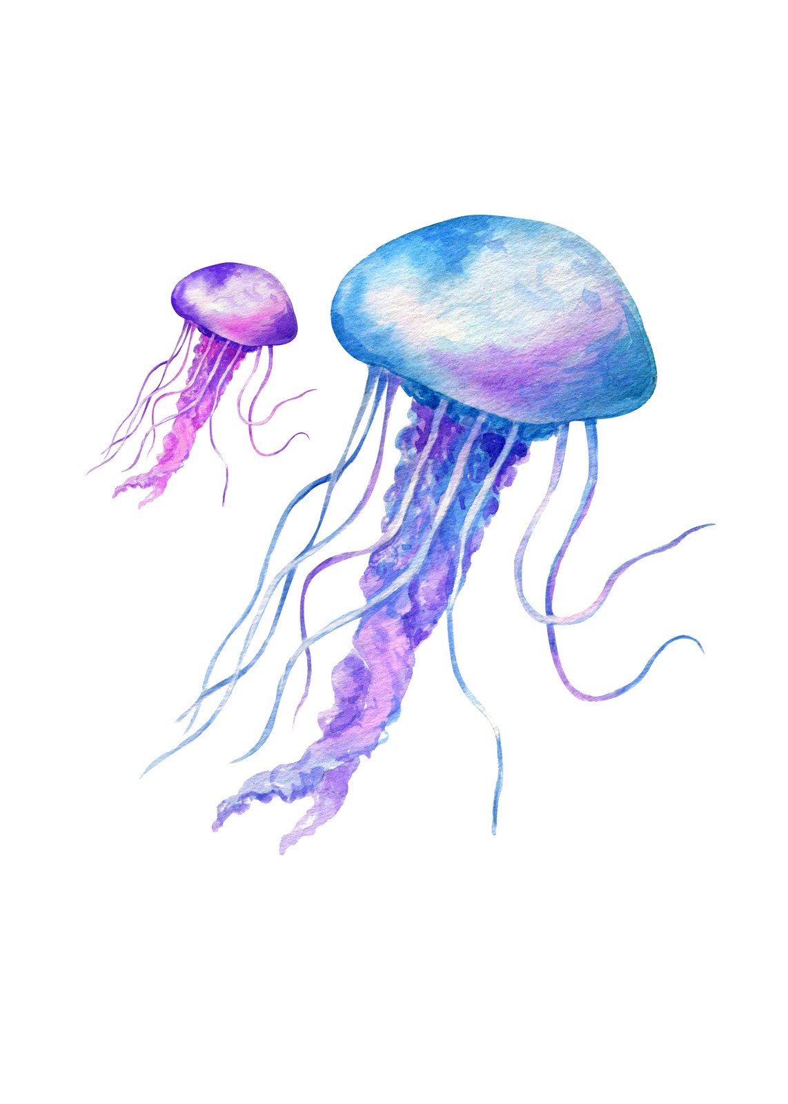 Watercolor Jellyfish Duo Wall Art