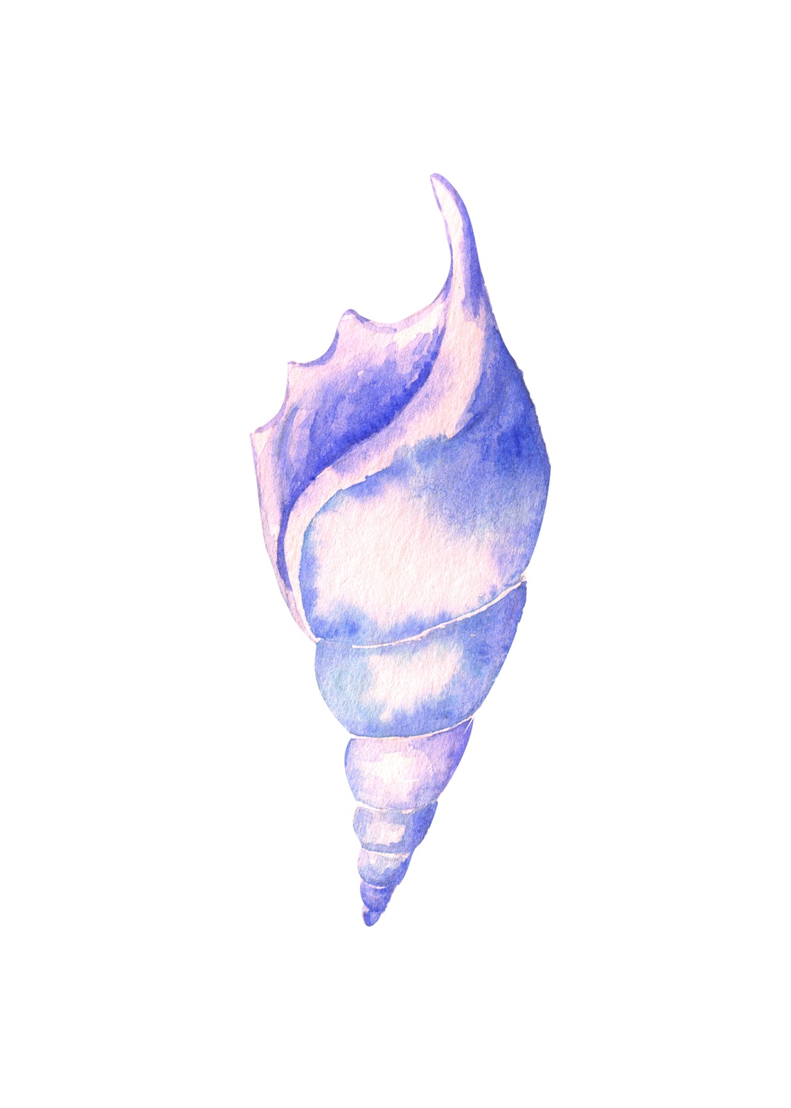 Ocean Breeze Watercolor Seashell Wall Art