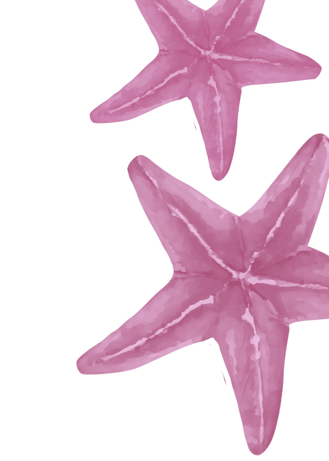 Charming Pink Starfish Duo Wall Art