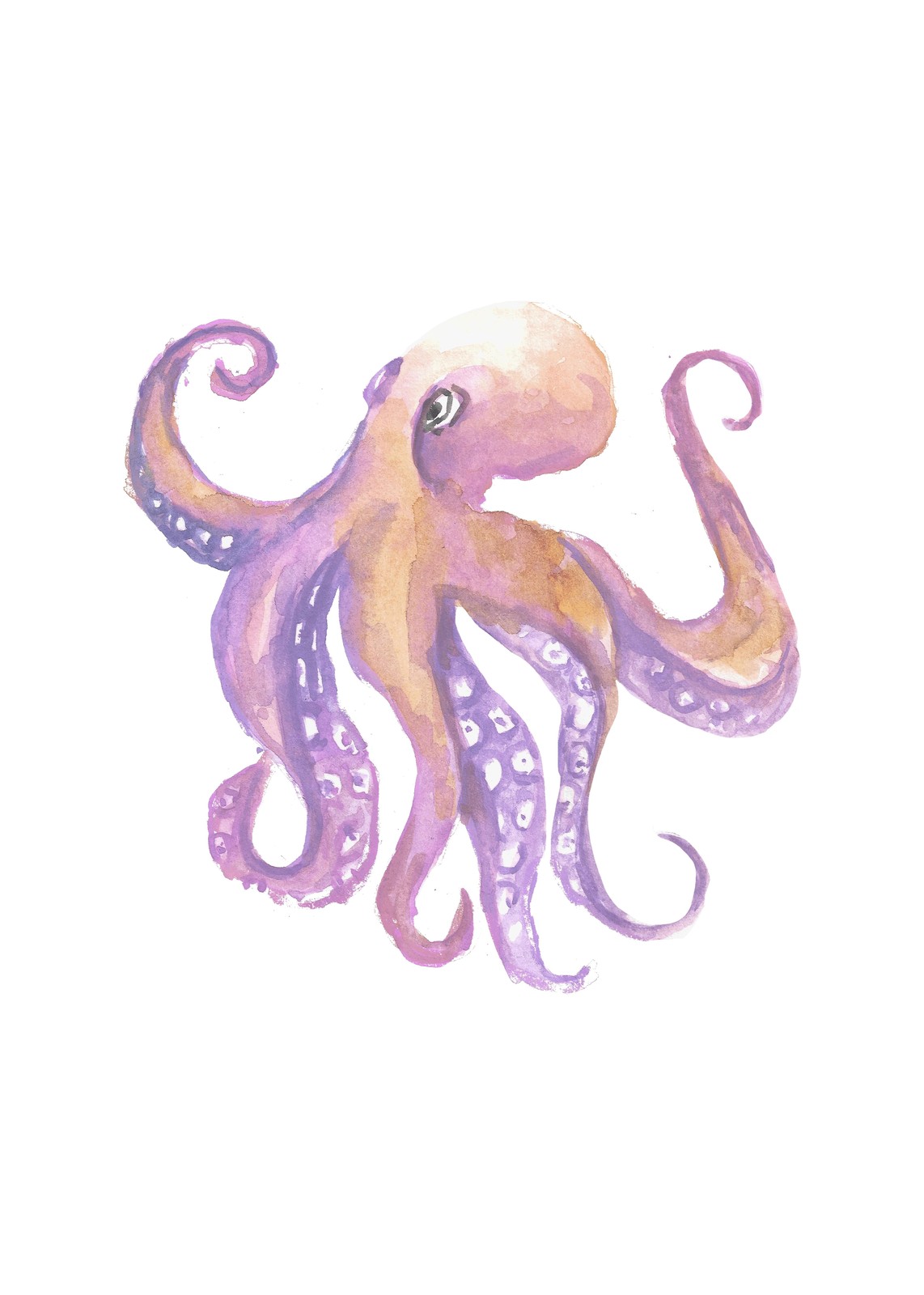 Whimsical Watercolor Octopus Wall Art Wall Art