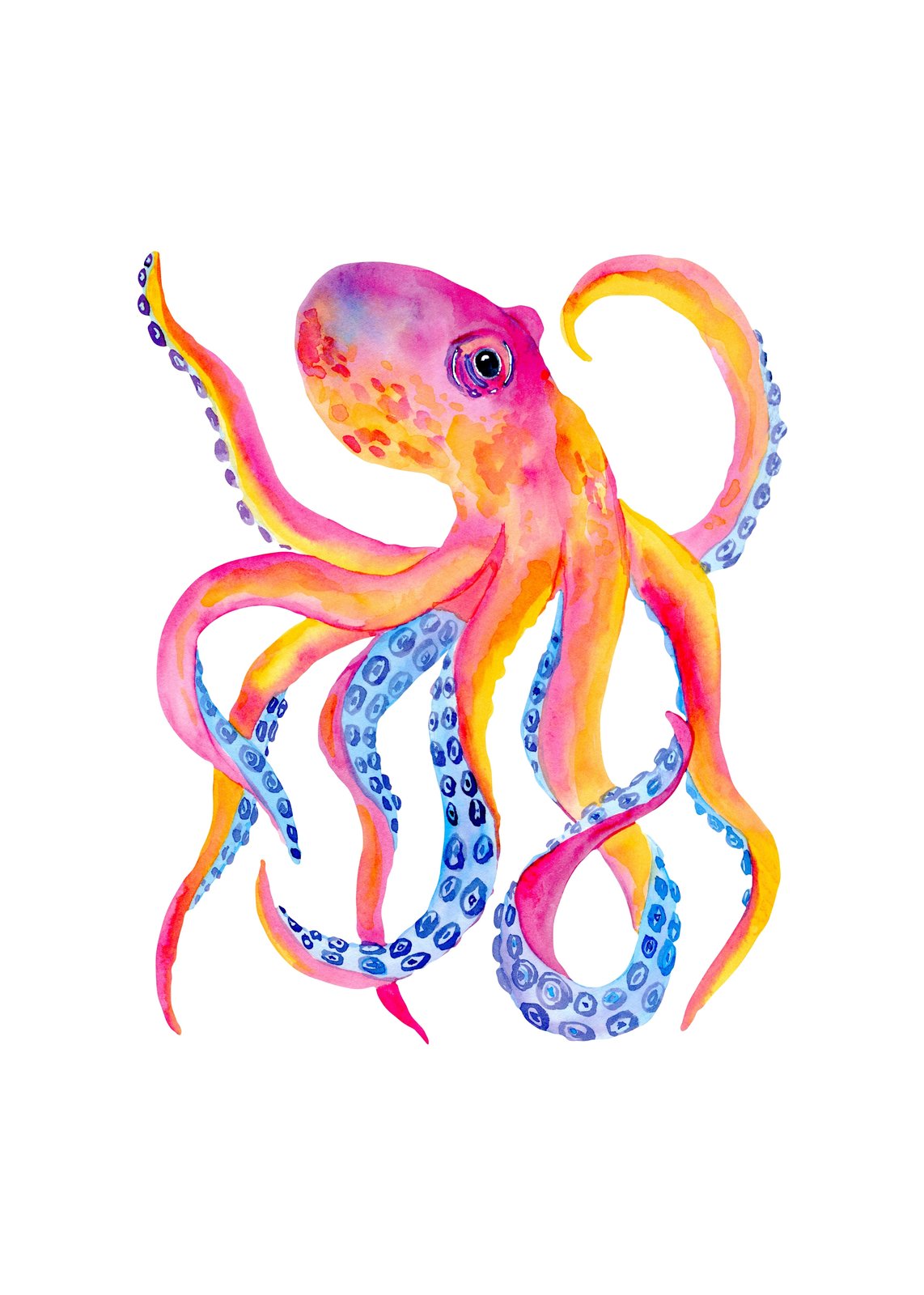 Vibrant Watercolor Octopus Wall Art Wall Art