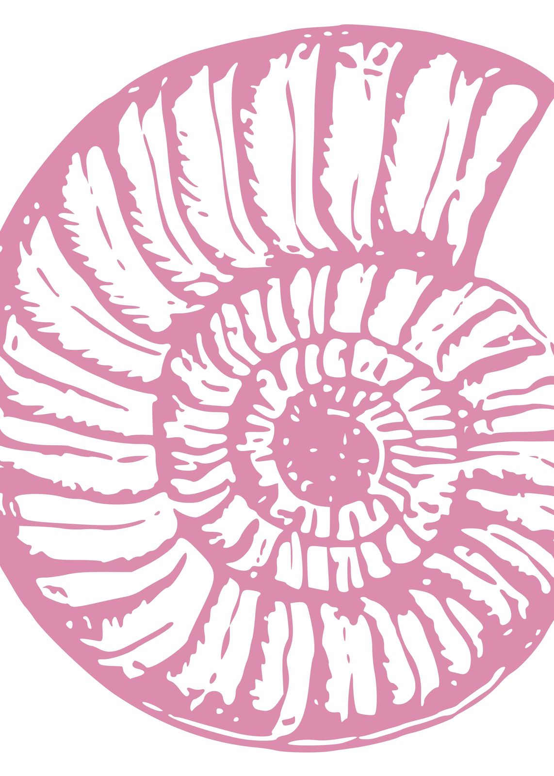 Pink Nautilus Shell Art Wall Art