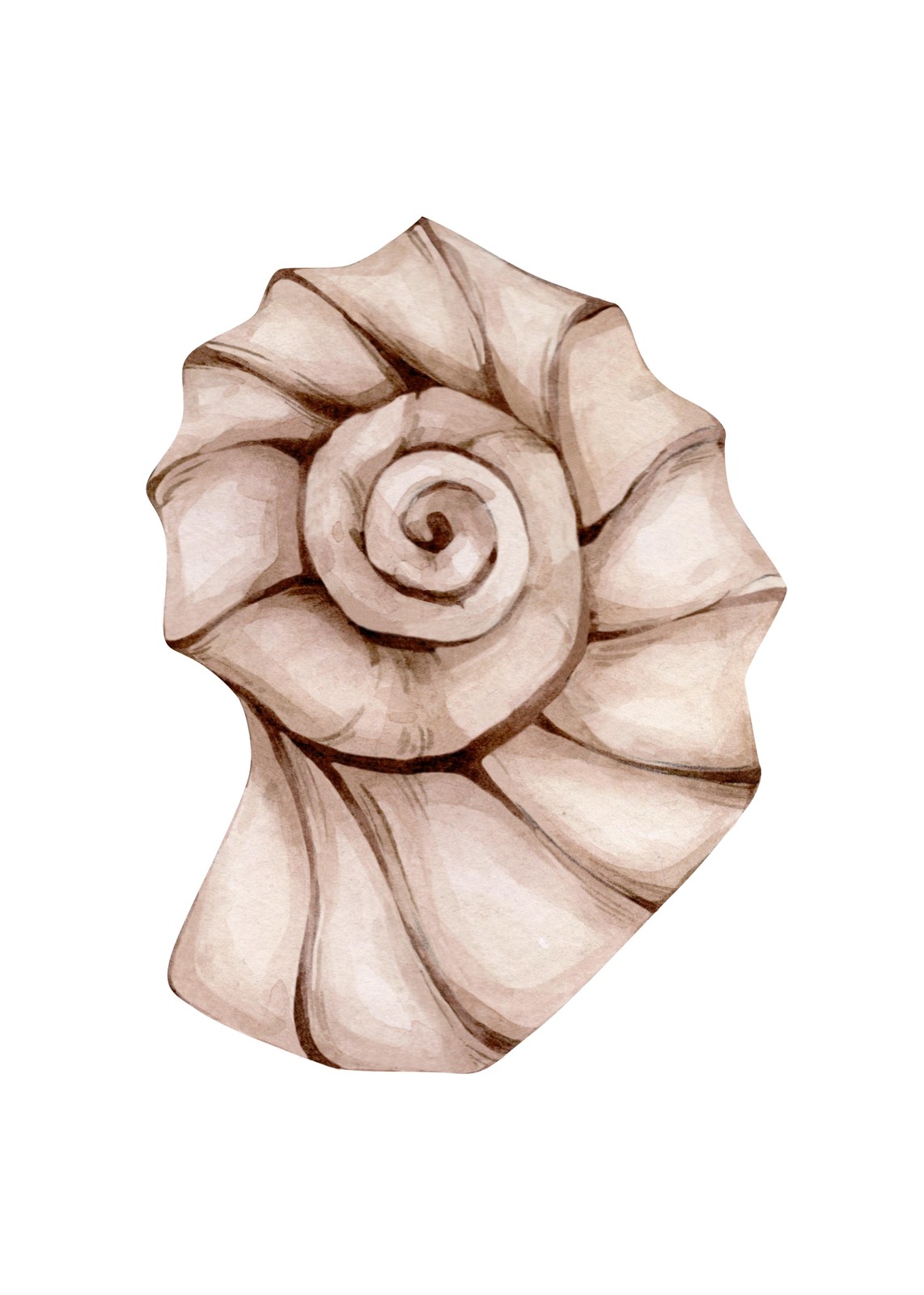 Elegant Nautilus Shell Watercolor Wall Art