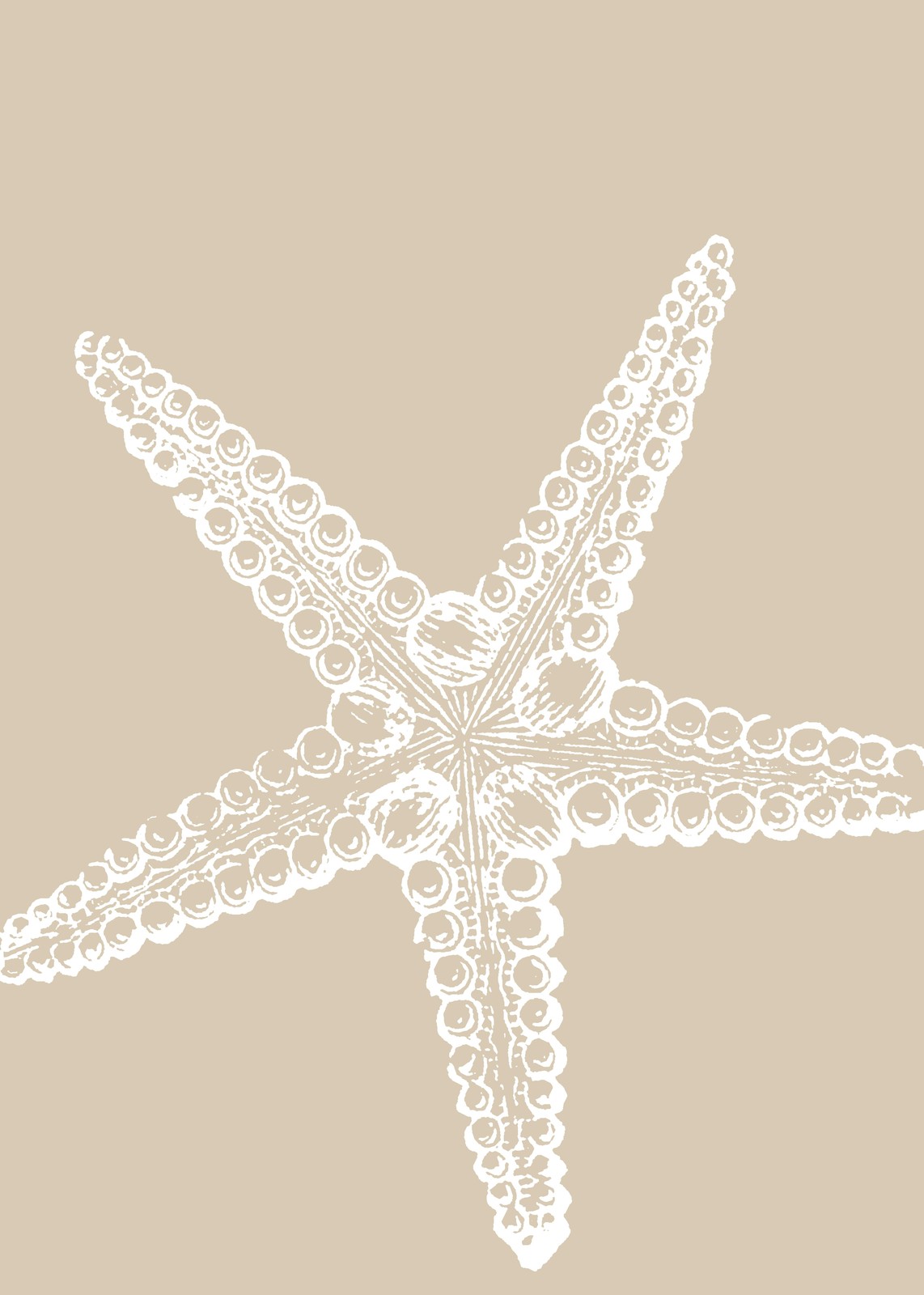 Elegant White Starfish Coastal Wall Art