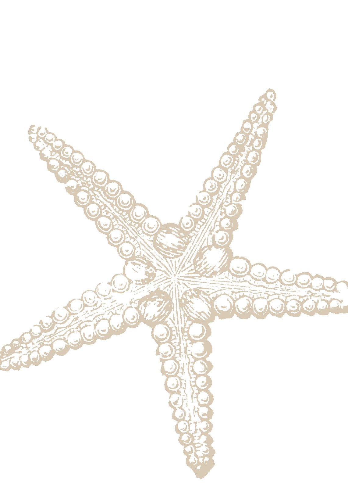 Vintage Starfish Beach Art Wall Art