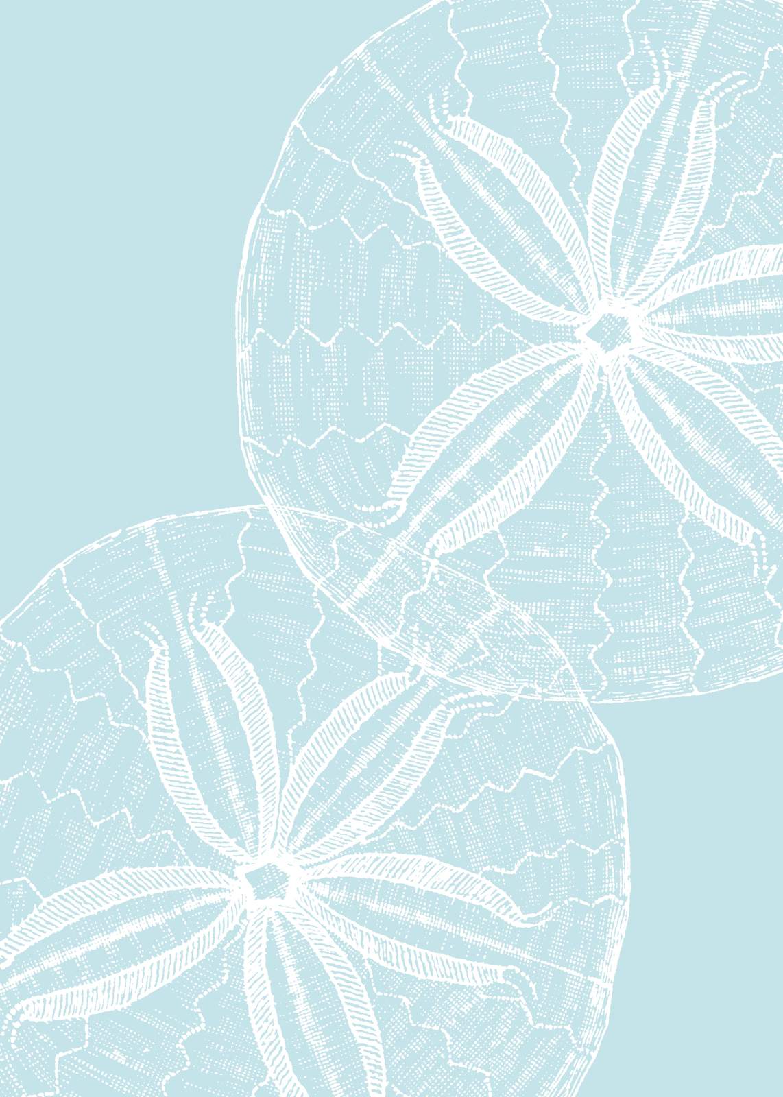 Serene Sand Dollar Duo Coastal Wall Art