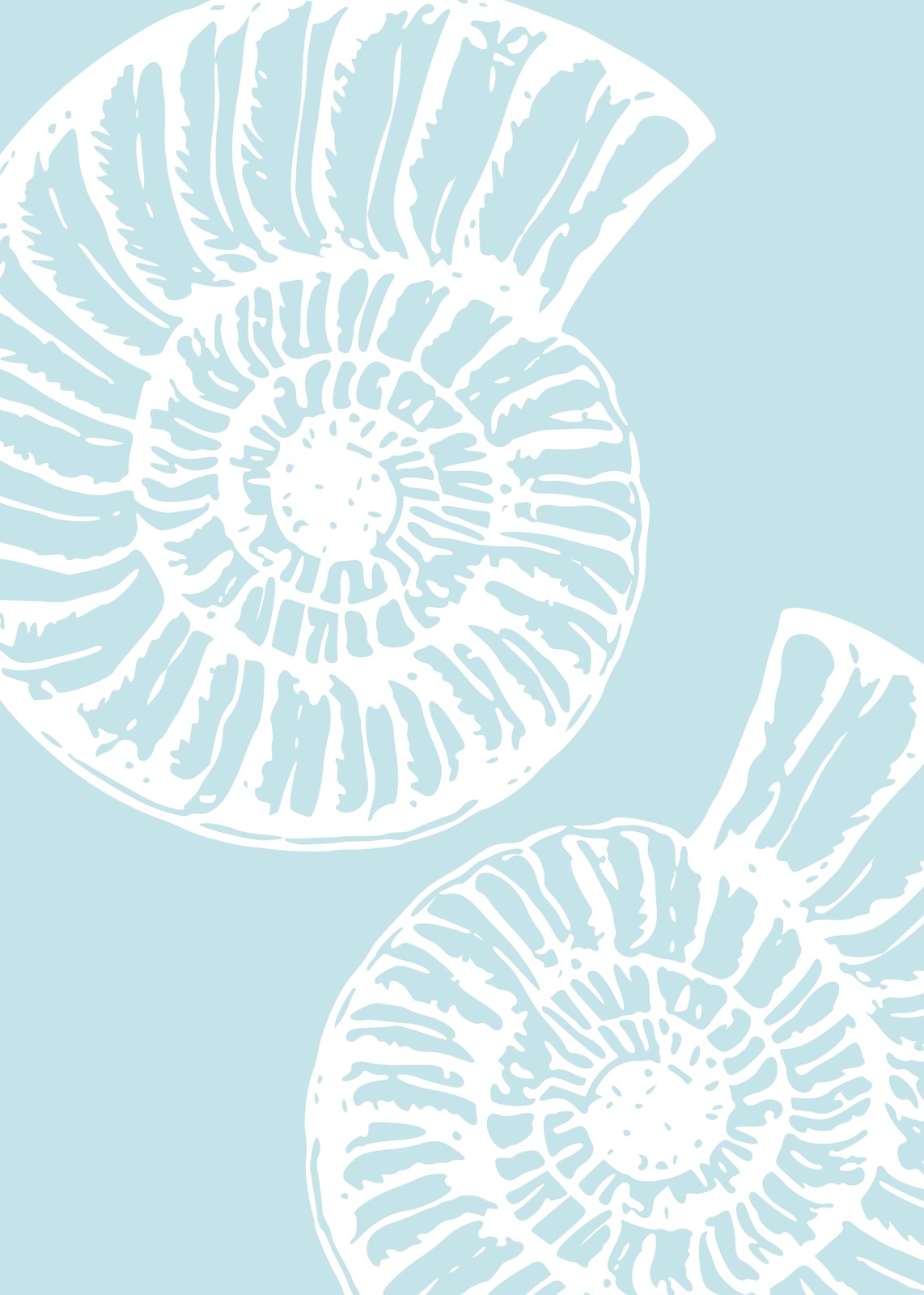 Coastal Ammonite Spiral Wall Art