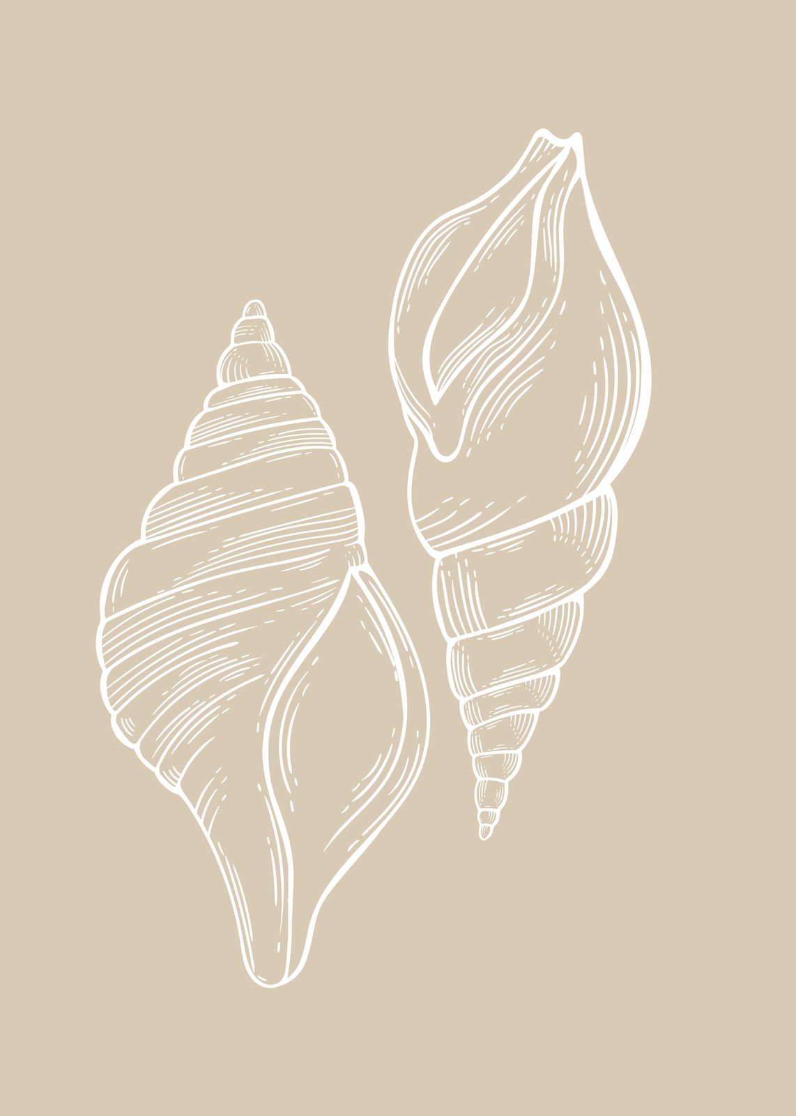 Elegant Seashell Duo Line Art Wall Art