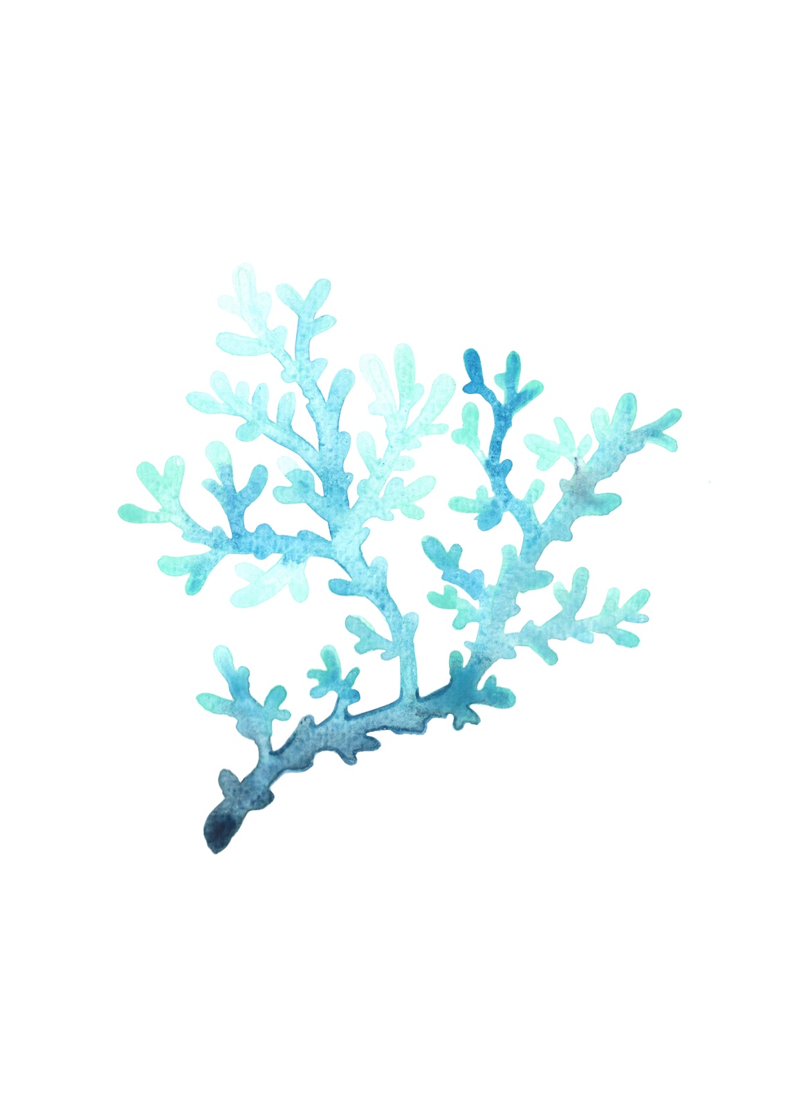 Blue Coral Watercolor Art Wall Art