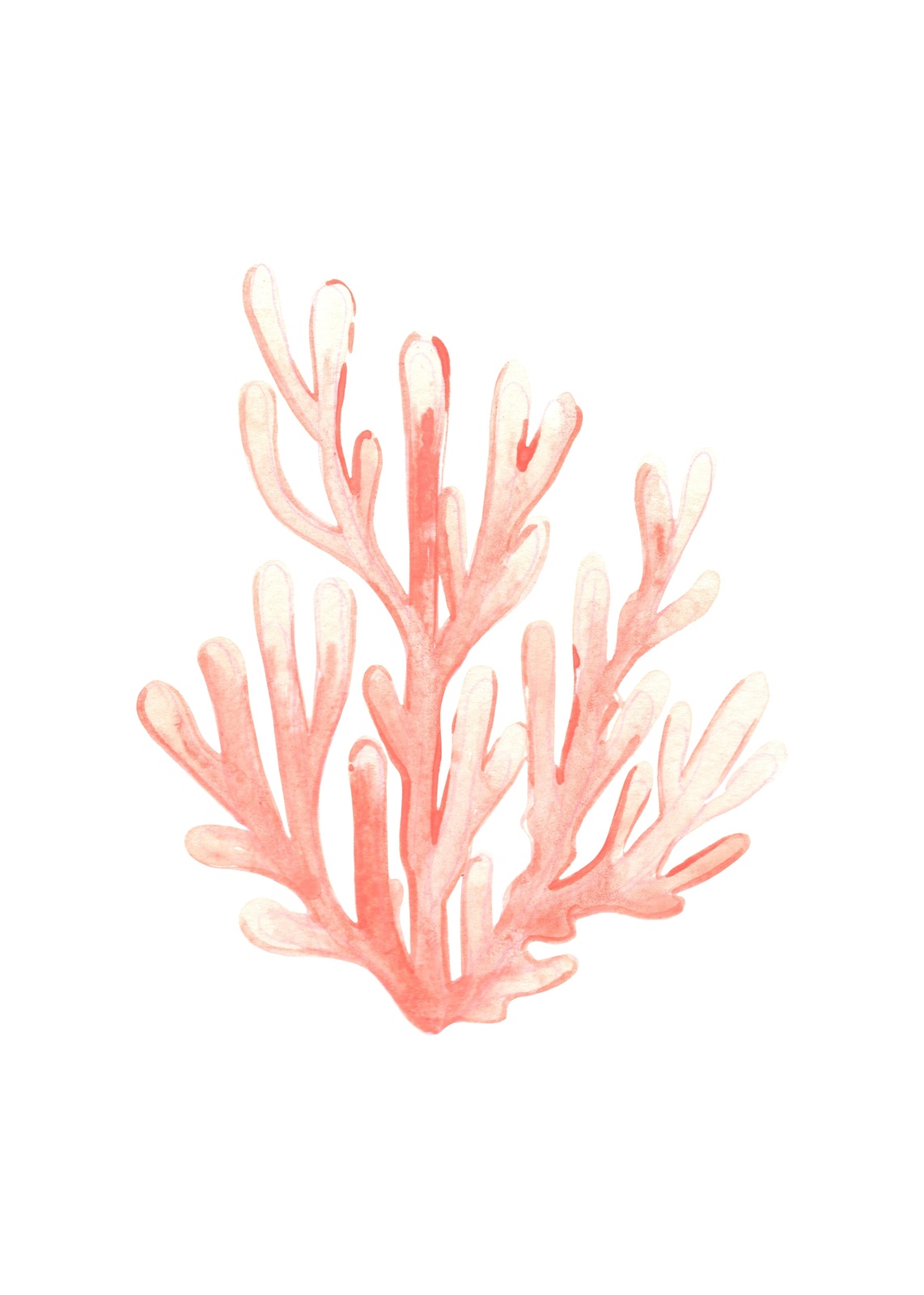 Coral Dream Watercolor Coastal Wall Art