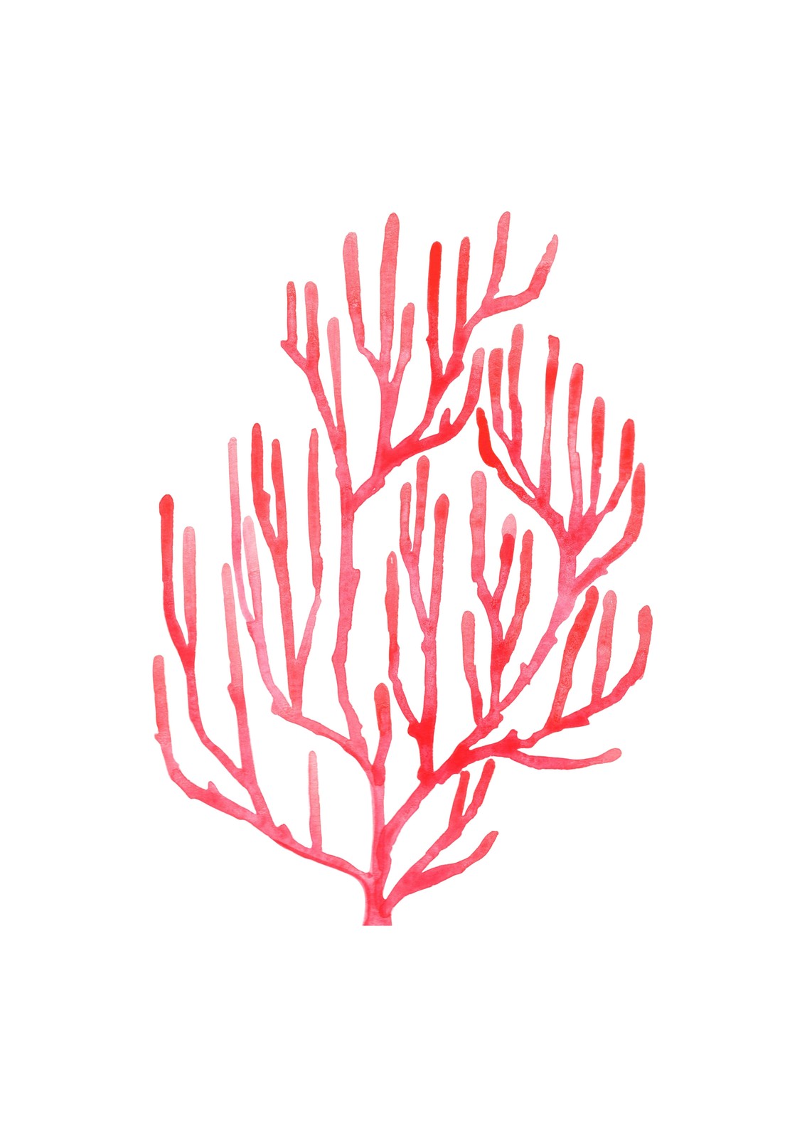 Vibrant Red Coral Watercolor Wall Art