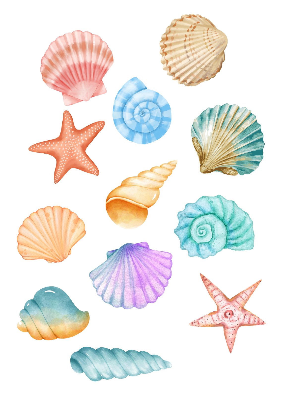 Coastal Dreams Seashell & Starfish Wall Art